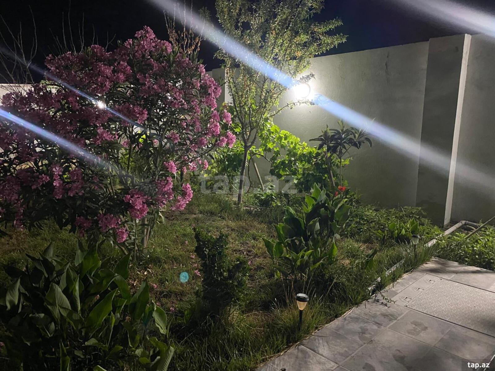 Villa kirayə verilir, Bilgəh bağları (24)