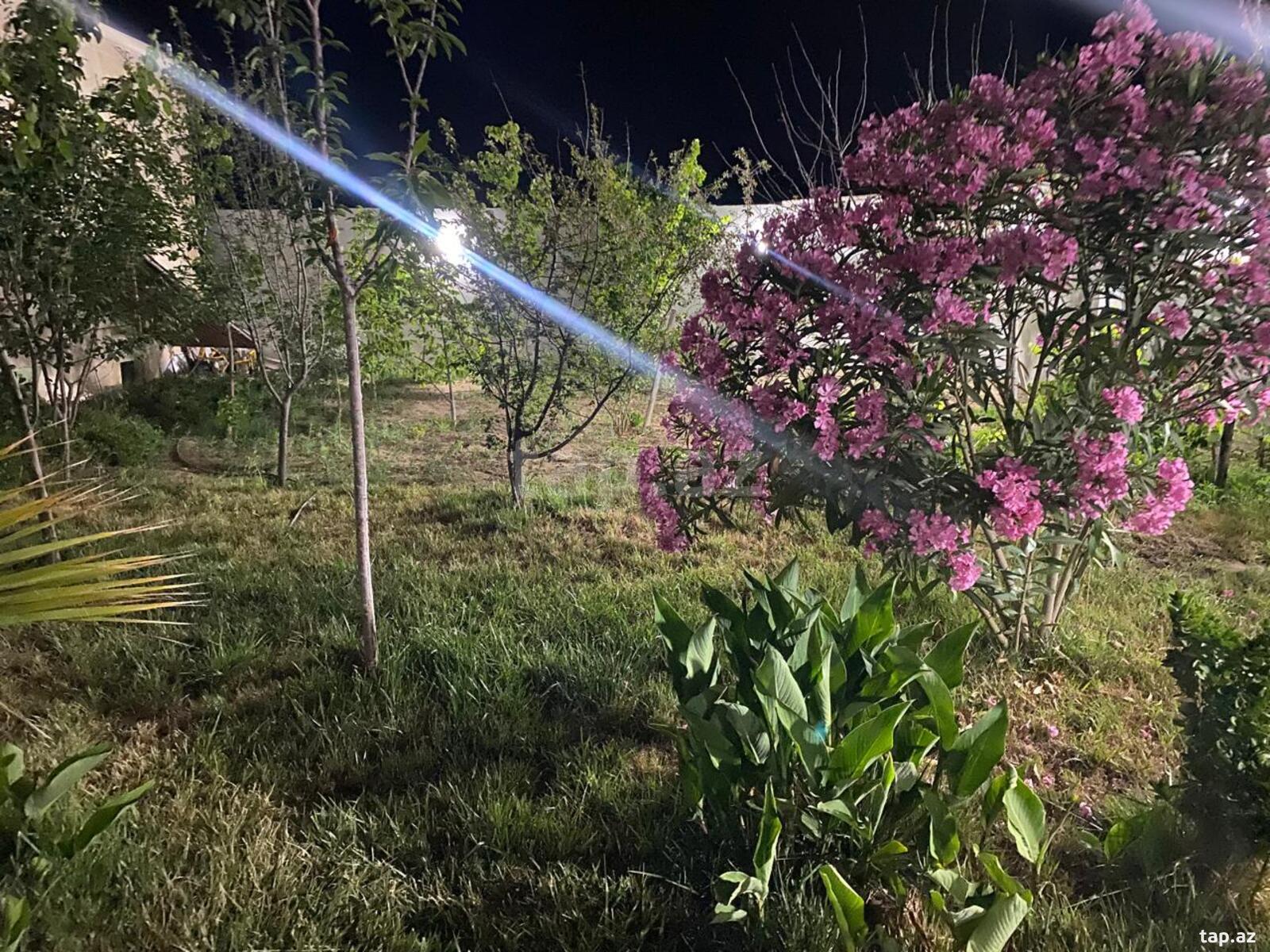 Villa kirayə verilir, Bilgəh bağları (23)