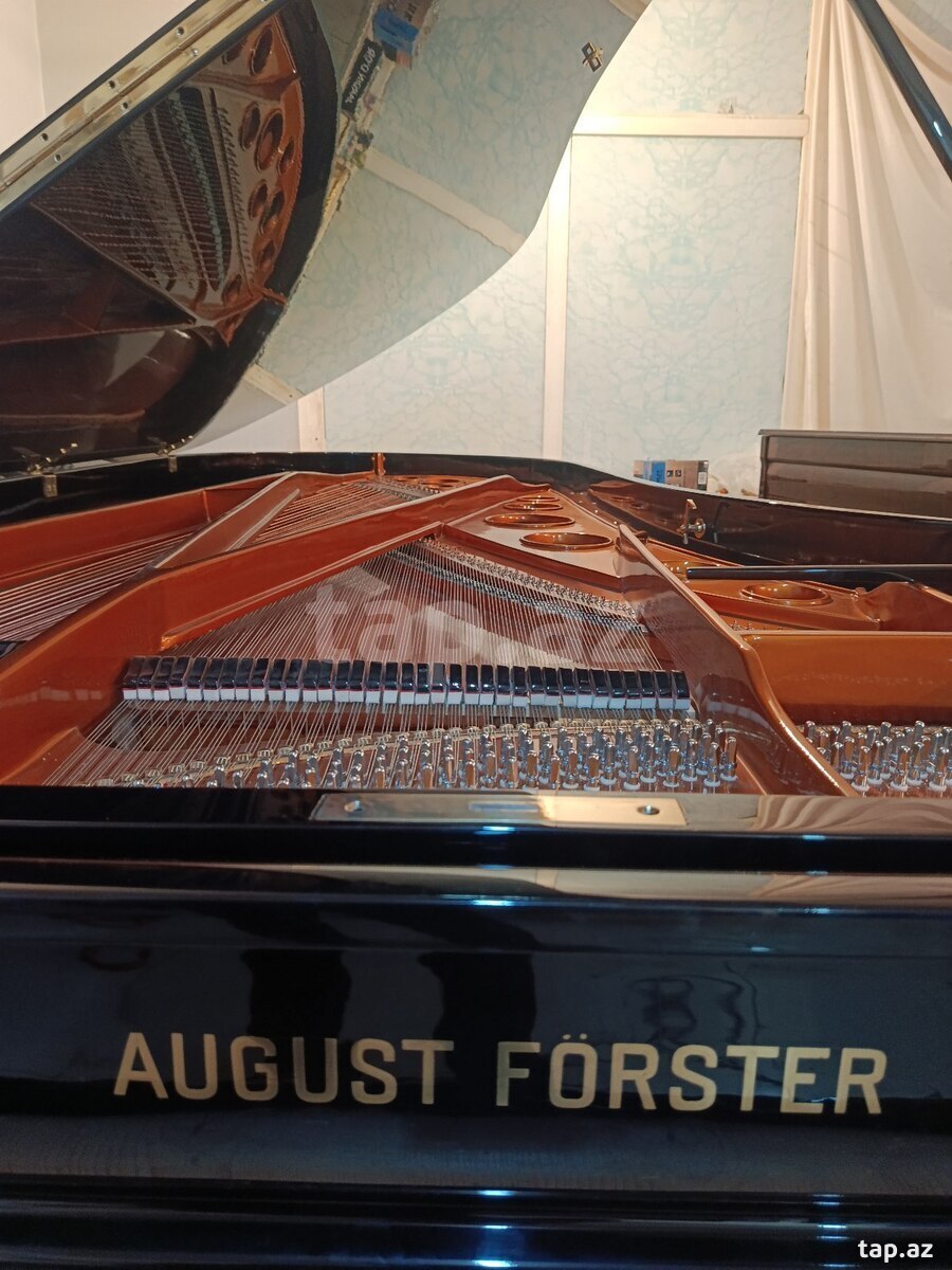 Röyal Avqust forster  (5)