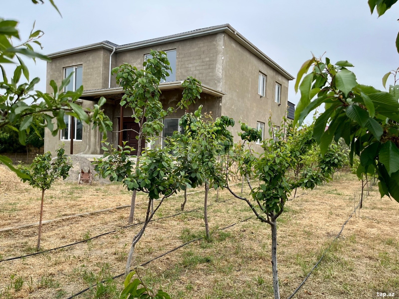 Villa, Saray qəs. (17)