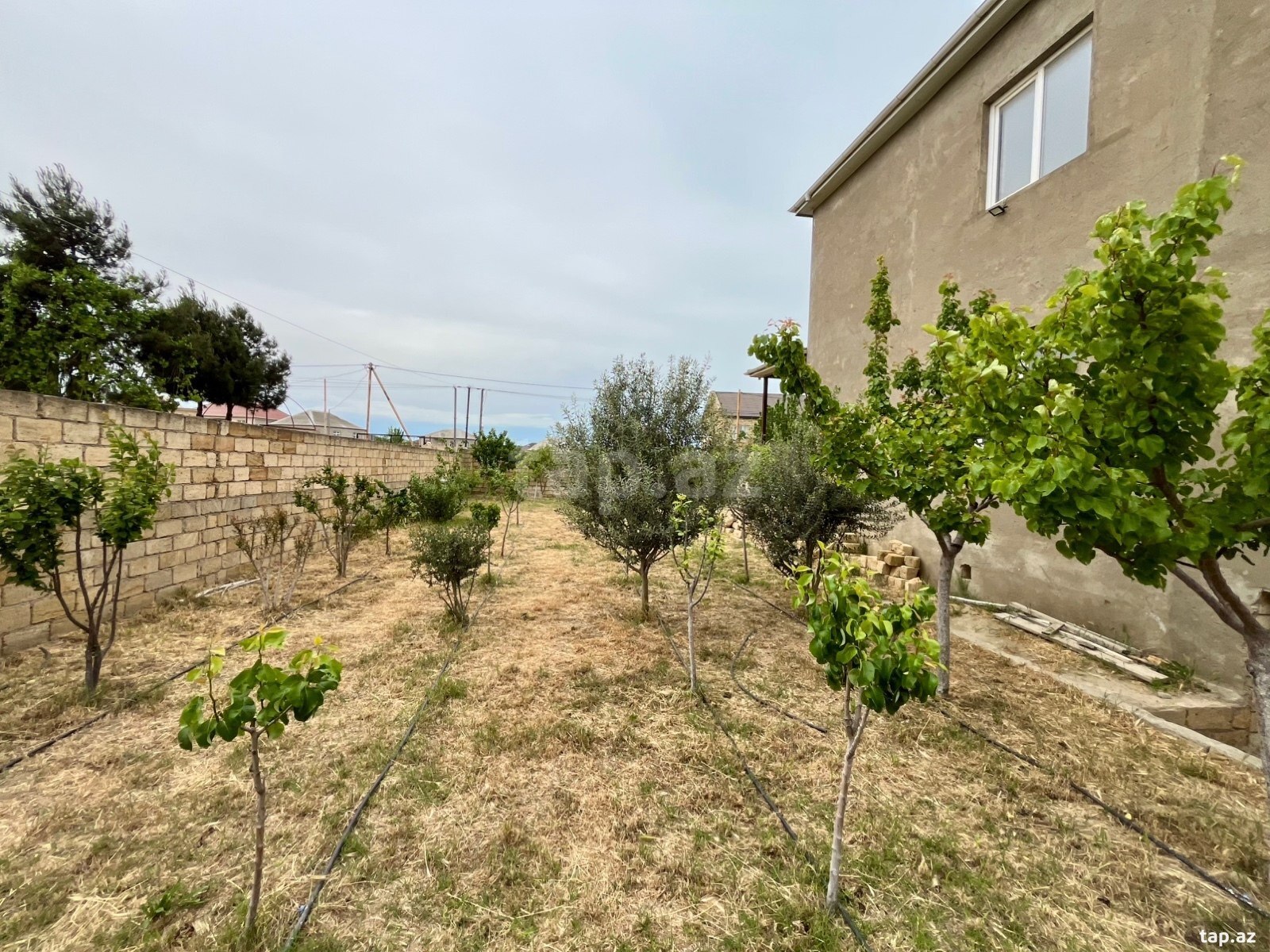 Villa, Saray qəs. (16)