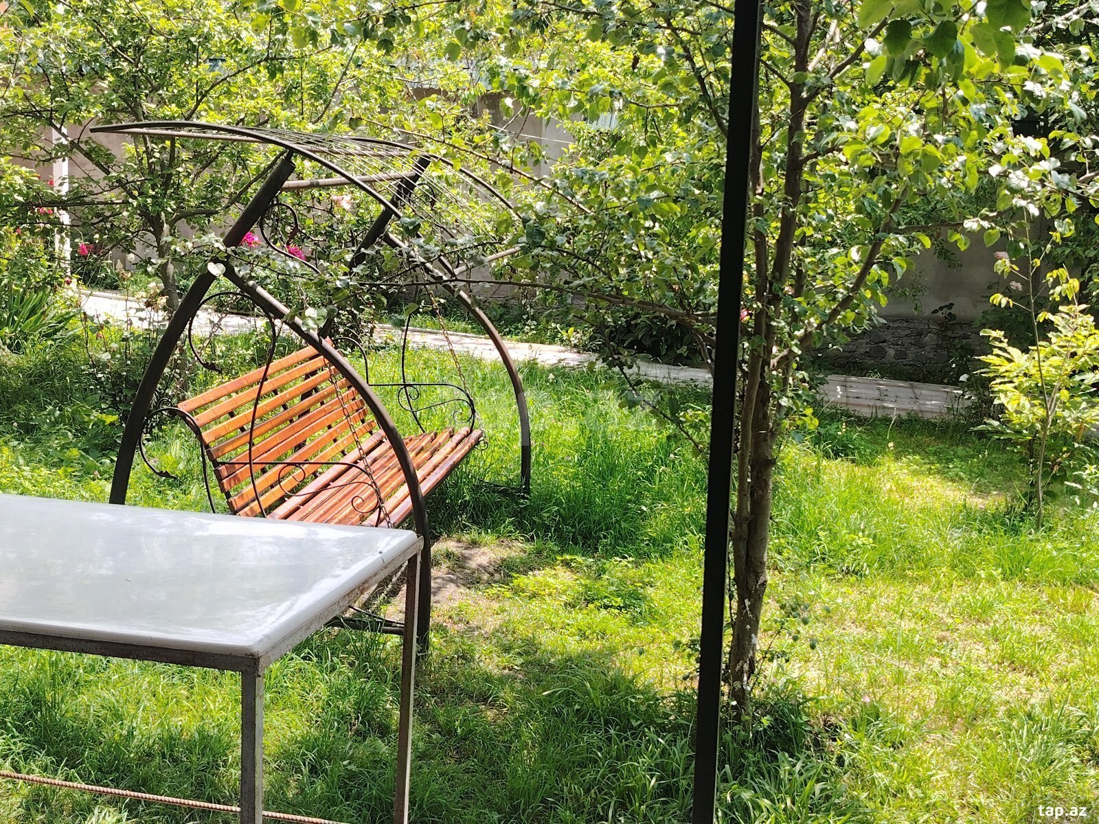 Həyət evi kirayə verilir, Qəbələ ş. (31)