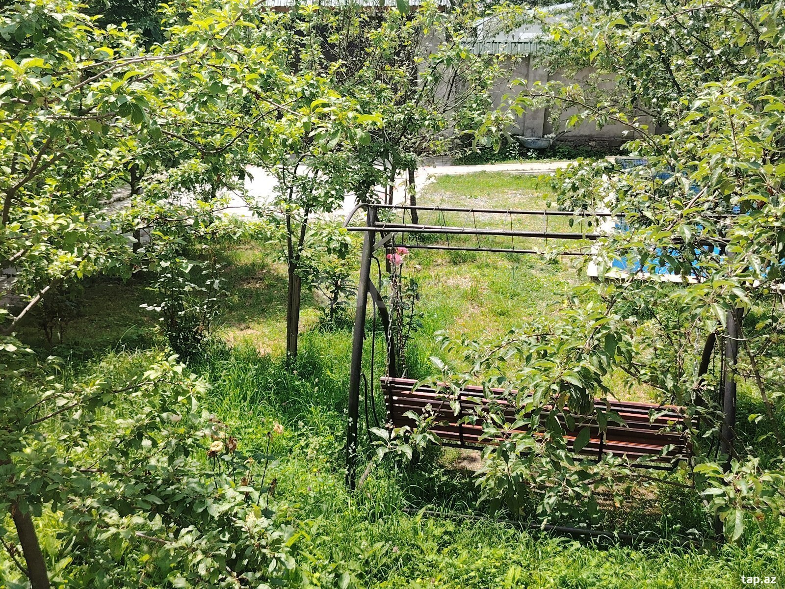 Həyət evi kirayə verilir, Qəbələ ş. (35)