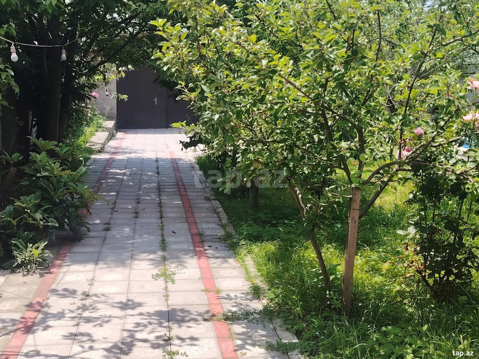 Həyət evi kirayə verilir, Qəbələ ş. (36)