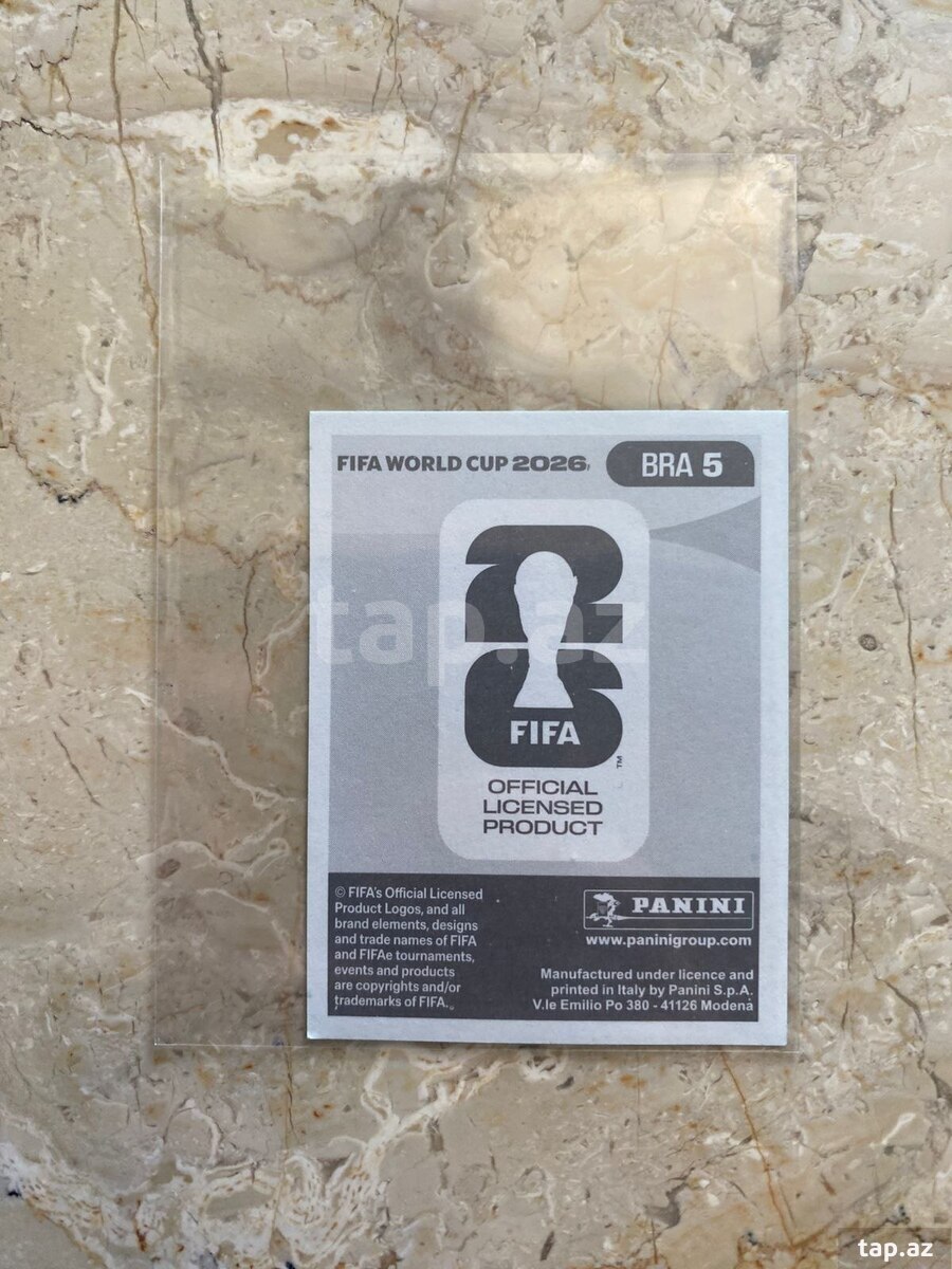 Panini kartlar (2)