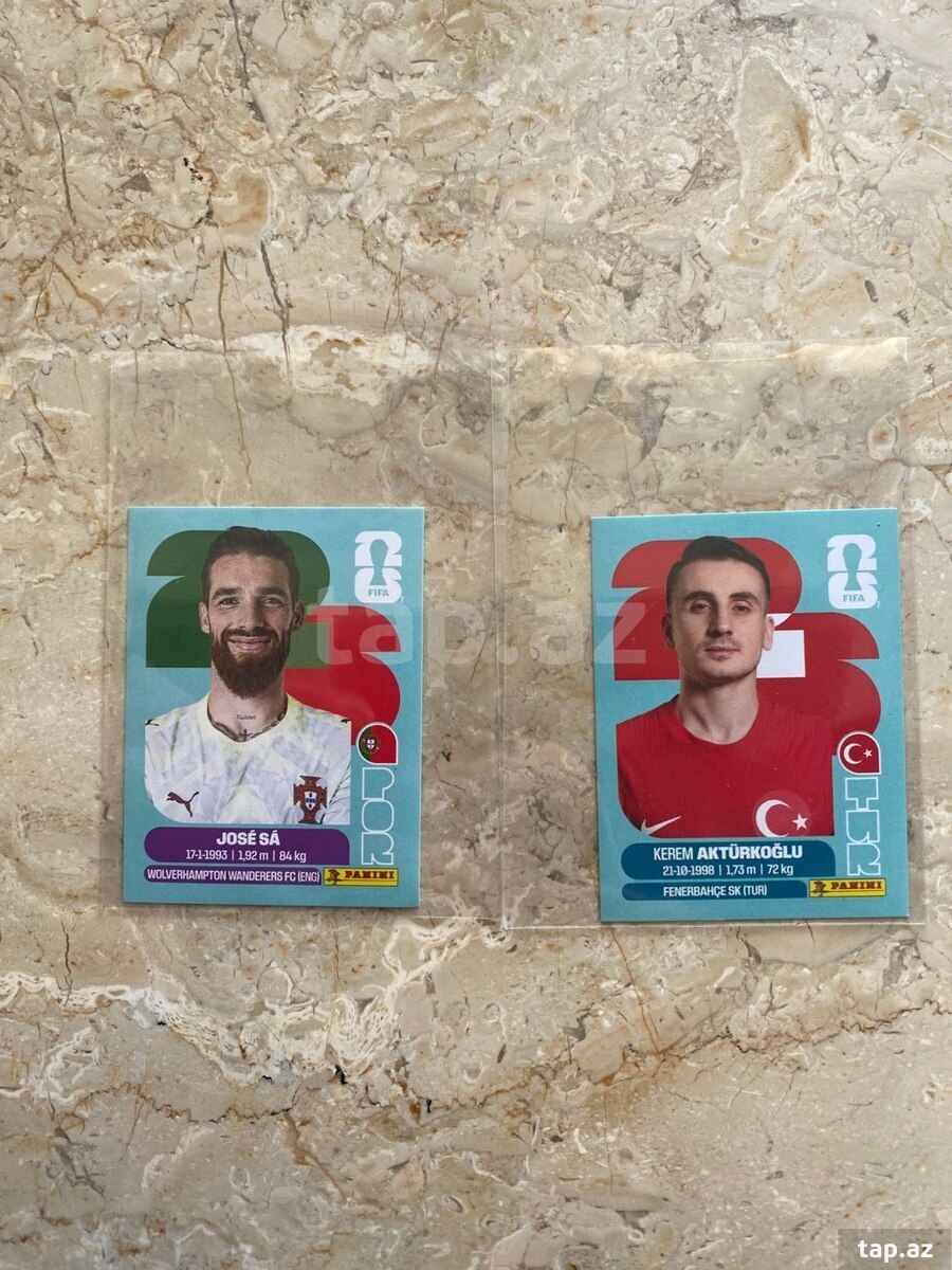 Panini kartlar (3)