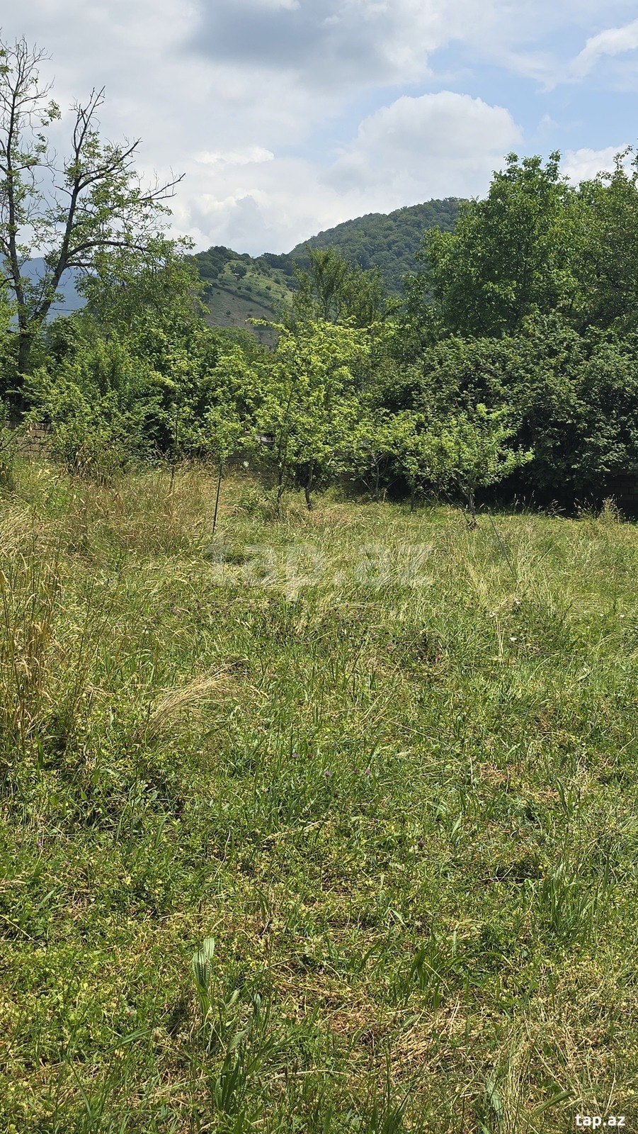 10 sot torpaq sahəsi, Qəbələ r. (10)