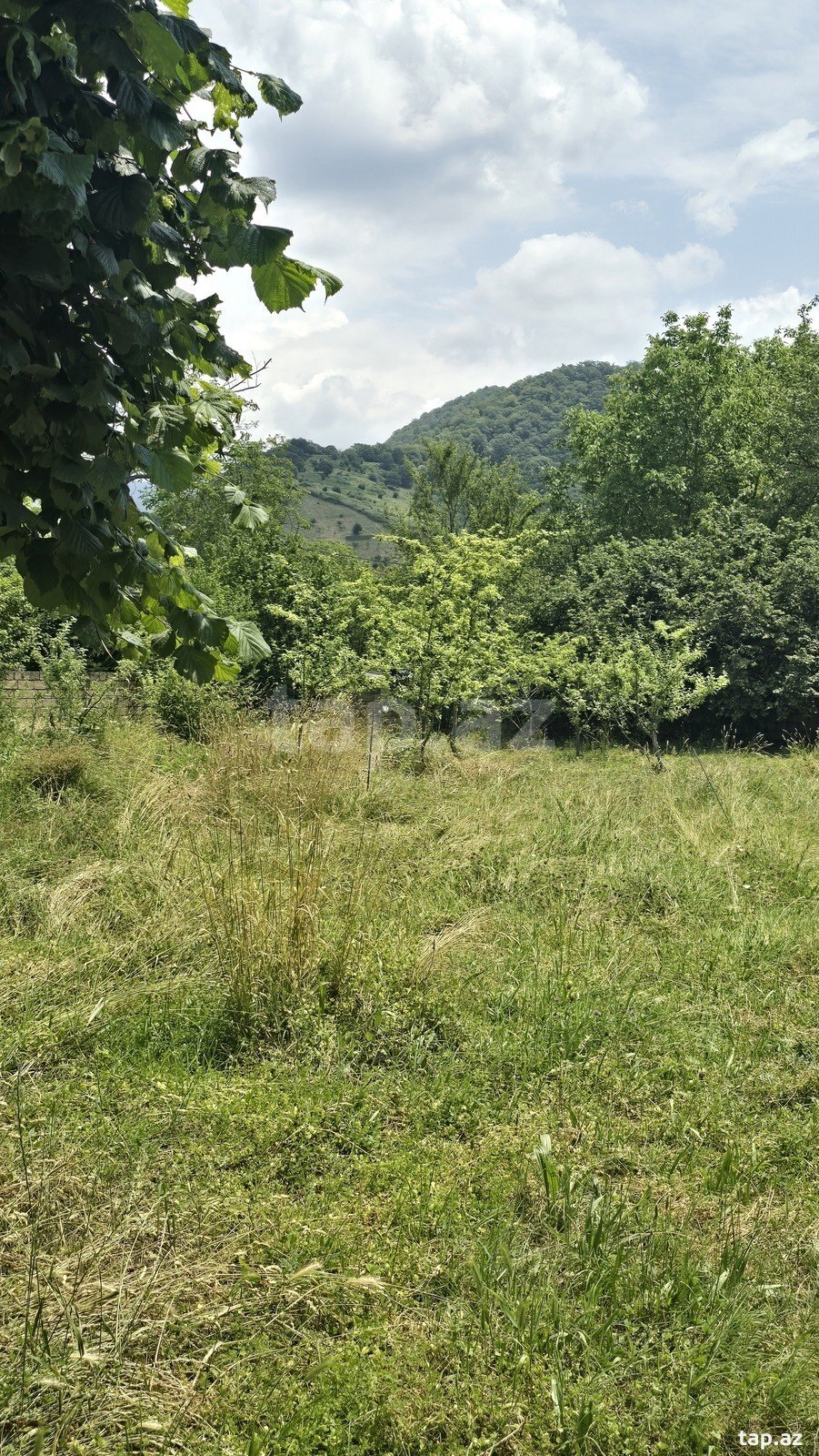 10 sot torpaq sahəsi, Qəbələ r. (17)