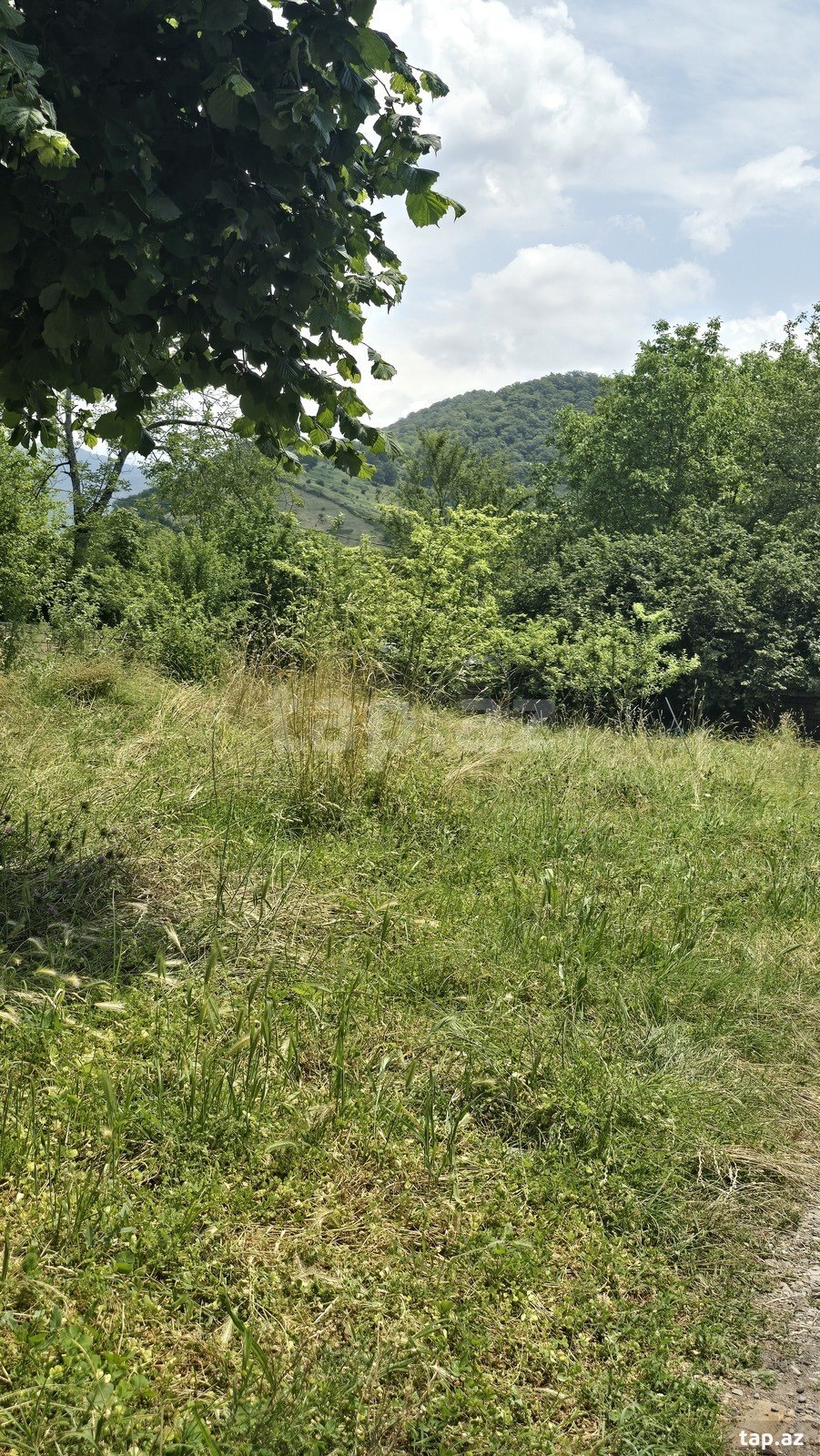 10 sot torpaq sahəsi, Qəbələ r. (18)