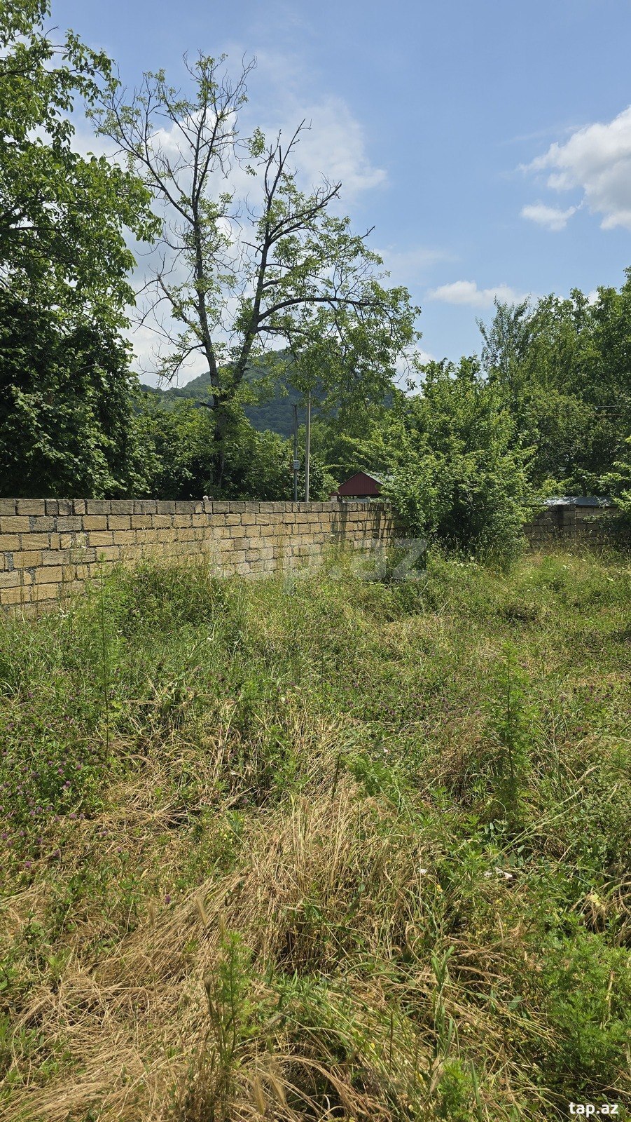 10 sot torpaq sahəsi, Qəbələ r. (14)