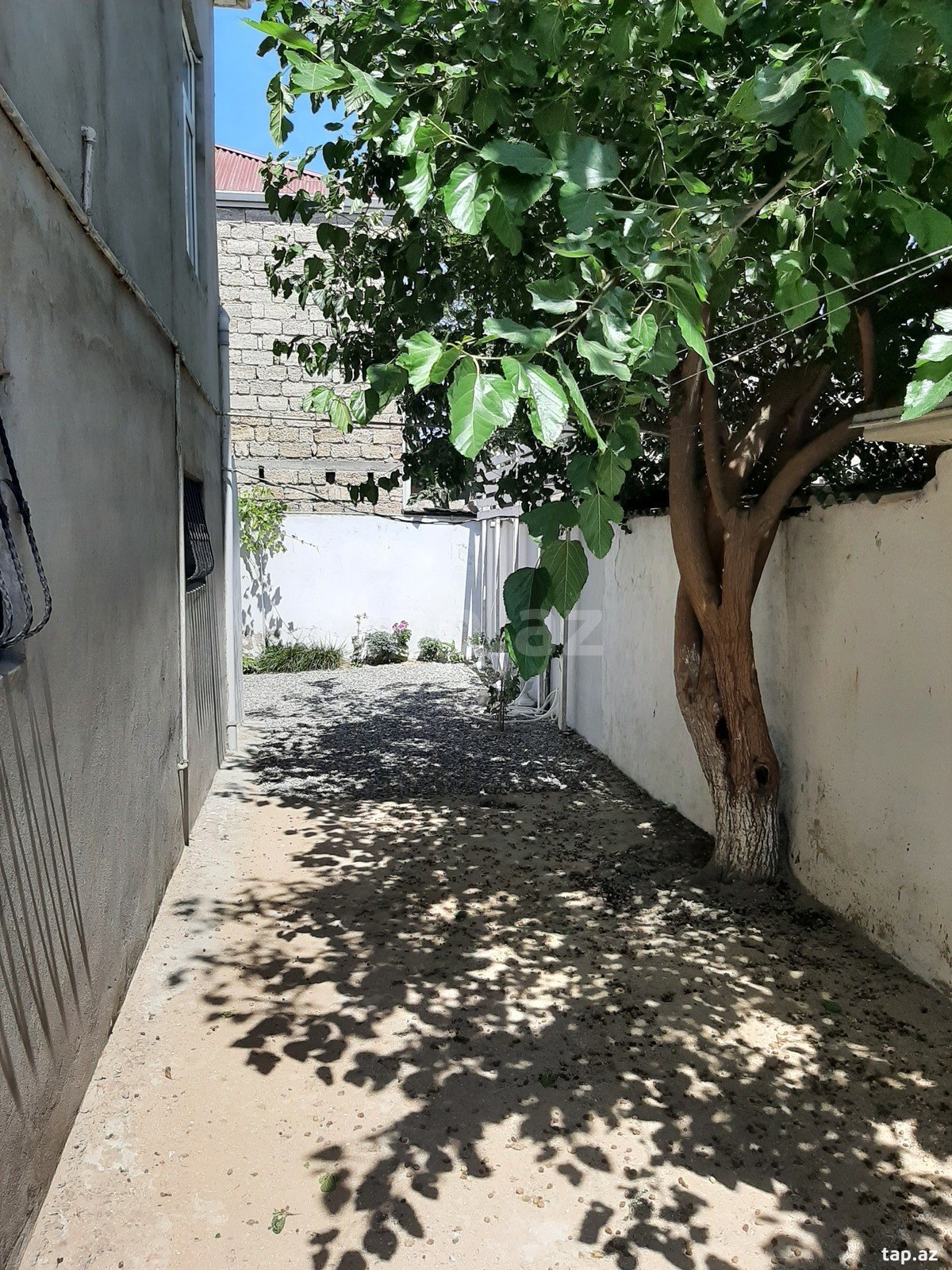 Həyət evi, Həsənağa Şirvani küç. (23)