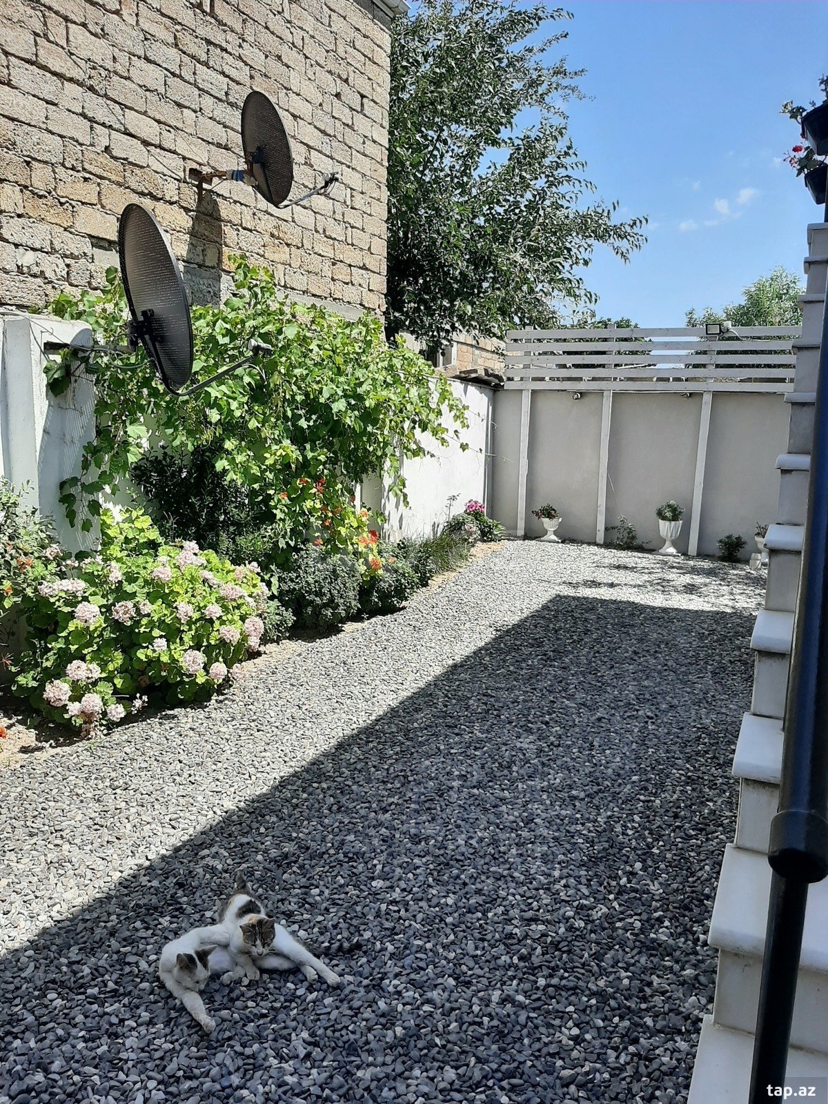 Həyət evi, Həsənağa Şirvani küç. (20)
