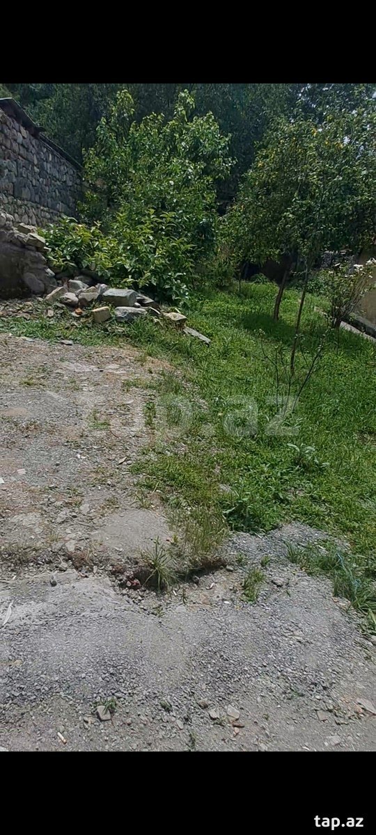 Həyət evi, Şəki ş. (8)