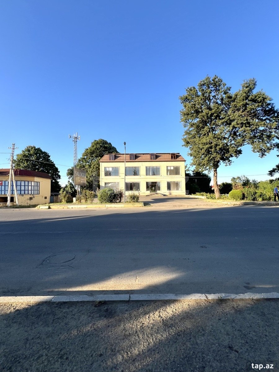 Obyekt icarəyə verilir, Masallı r. (13)