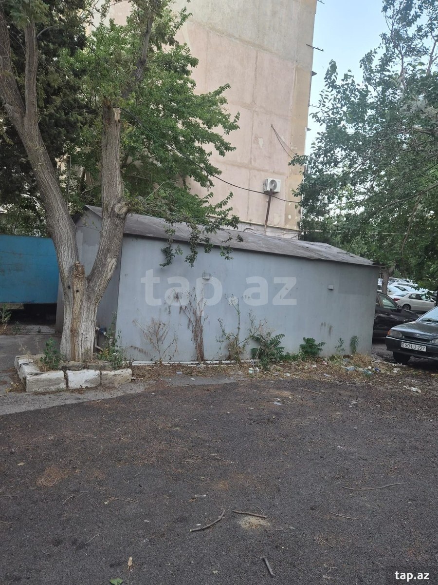 Qaraj icarəsi (2)