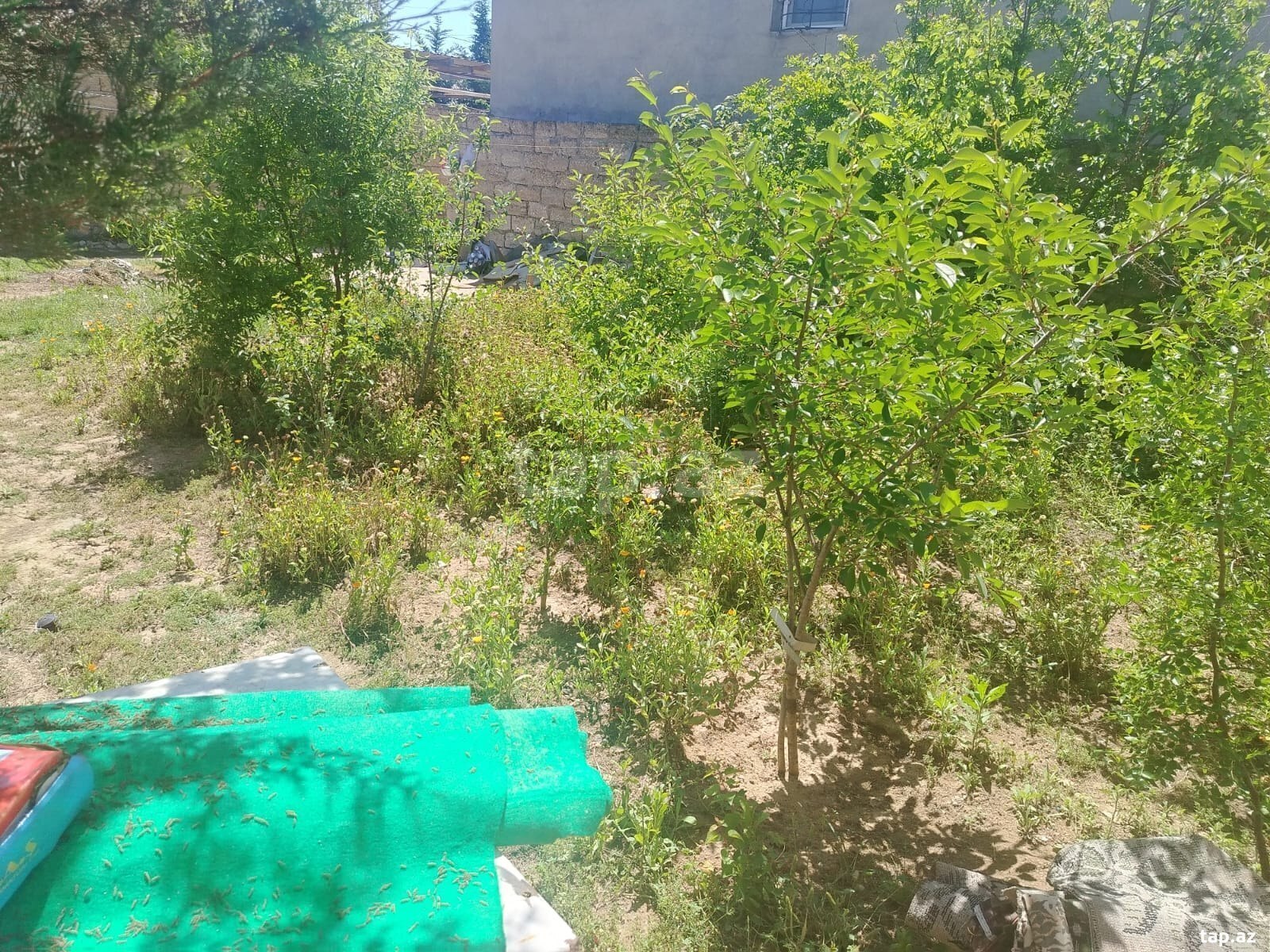 Həyət evi, Maştağa qəs. (2)