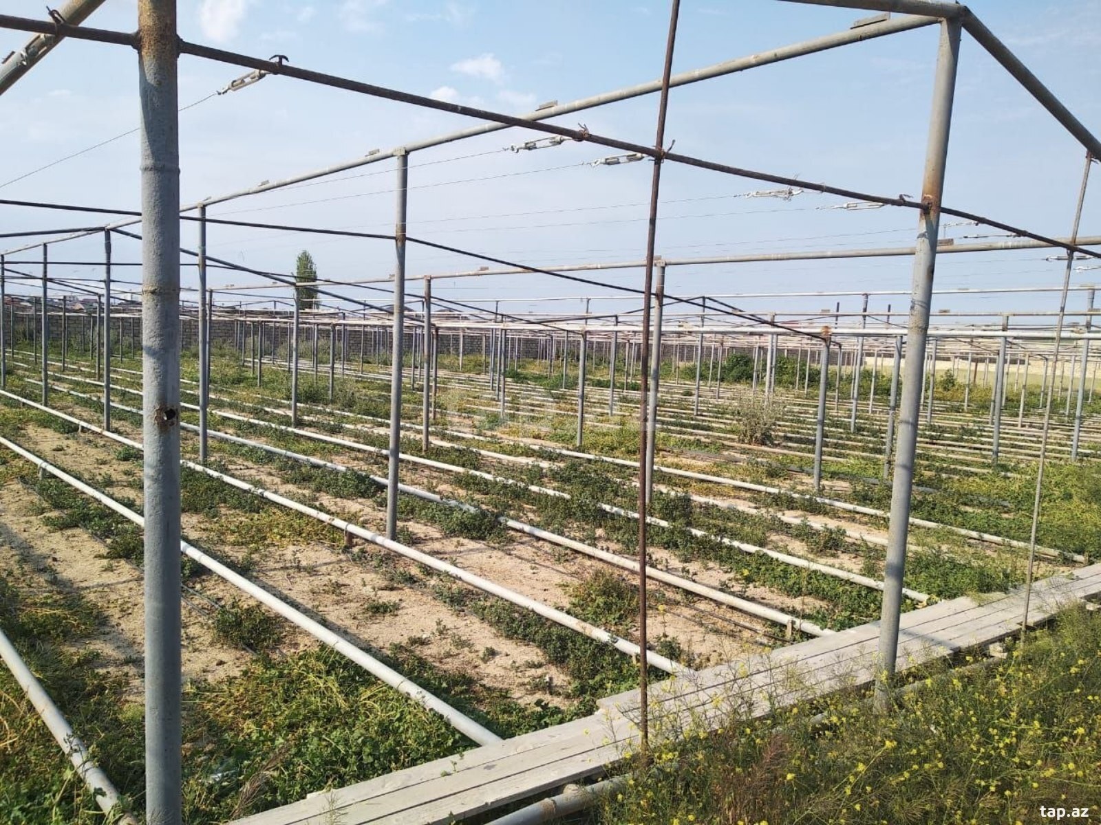 Dəmir borular  (2)