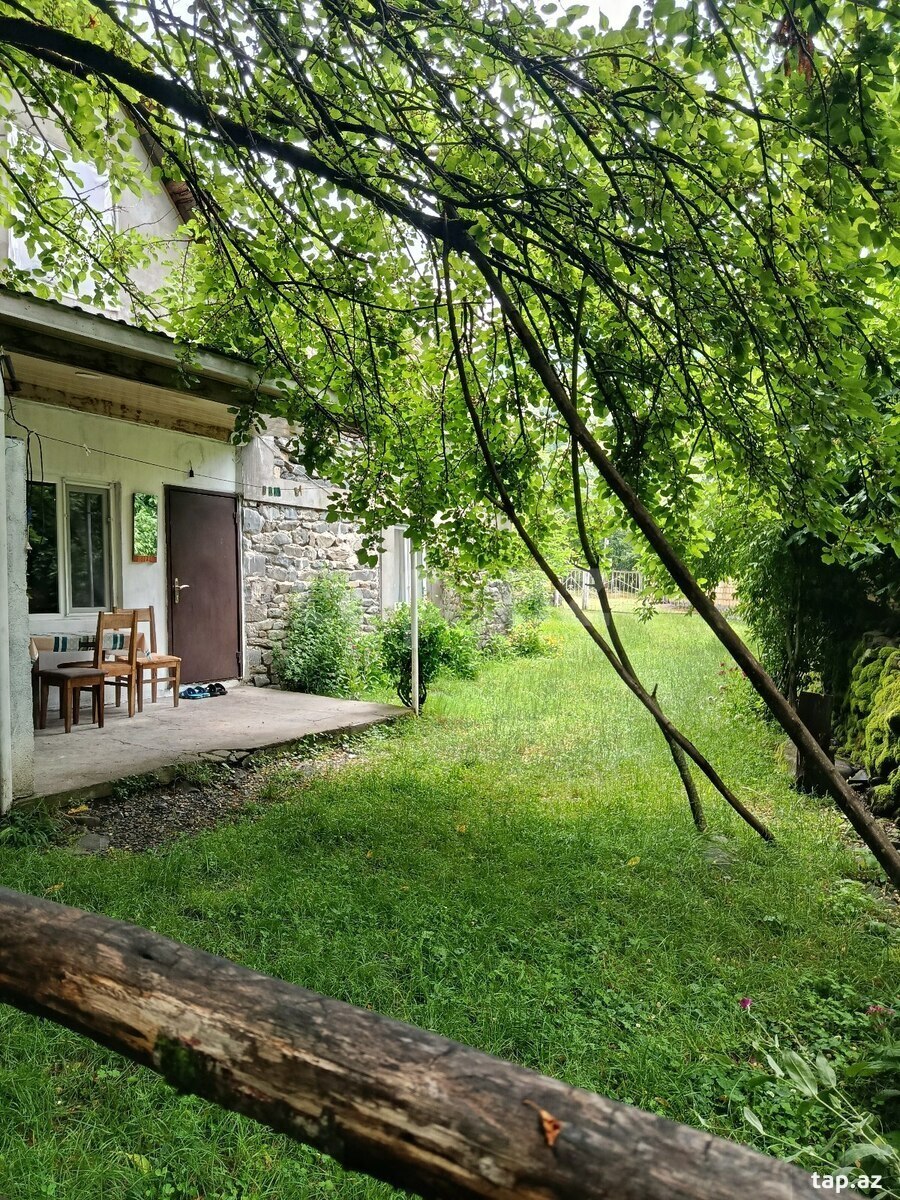 Həyət evi kirayə verilir, Zaqatala r. (13)