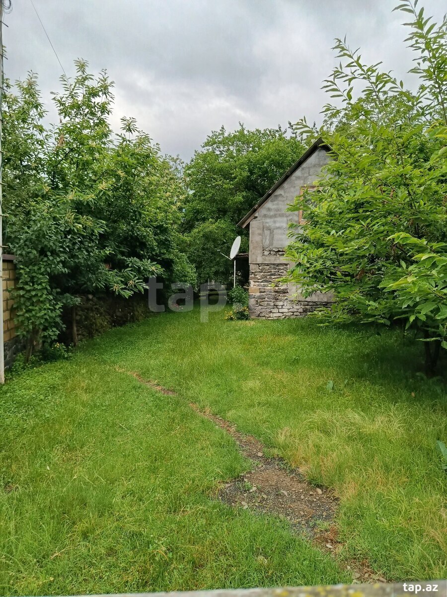 Həyət evi kirayə verilir, Zaqatala r. (16)
