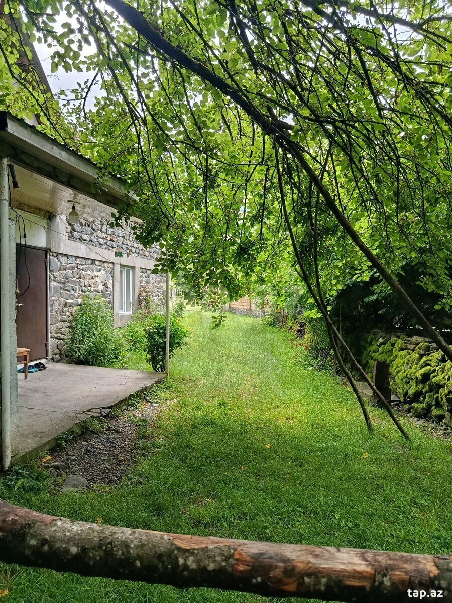 Həyət evi kirayə verilir, Zaqatala r. (15)