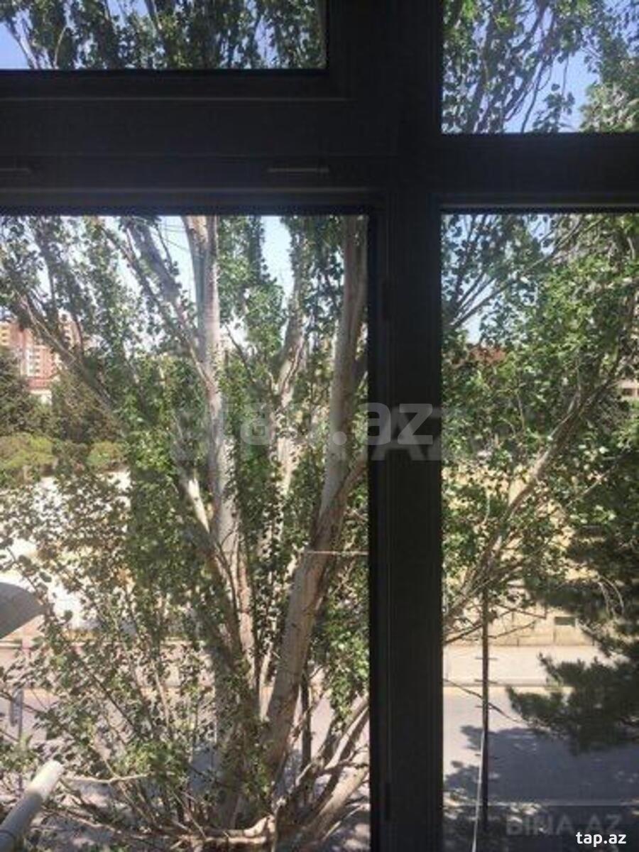 2-otaqlı mənzil kirayə verilir, İnşaatçılar m., A. M. Şərifzadə küç., 160, 54 m² (12)