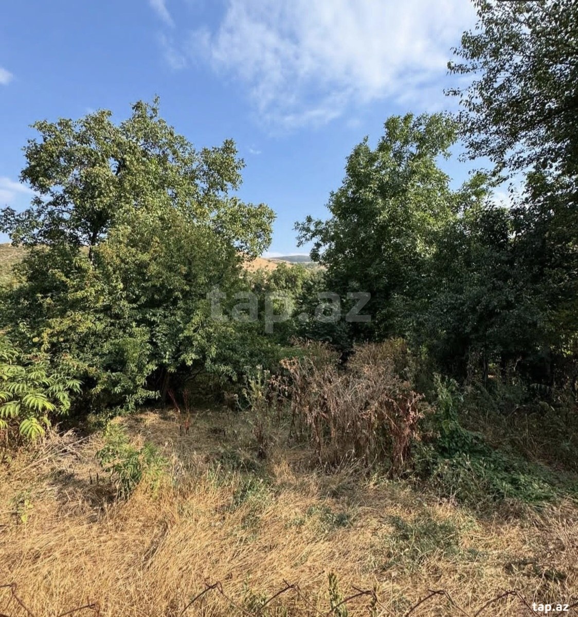 Həyət evi, Göygöl ş. (16)