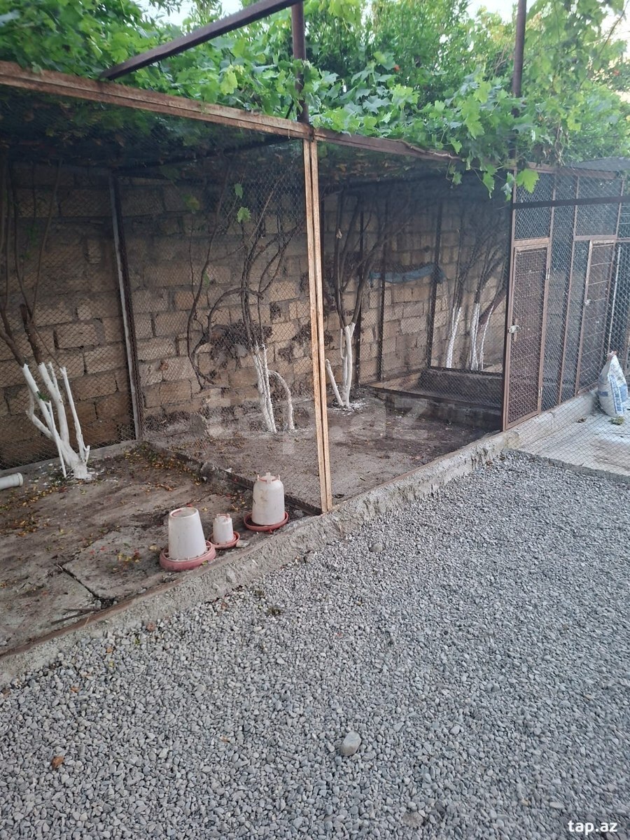 Həyət evi, Binəqədi şossesi (21)