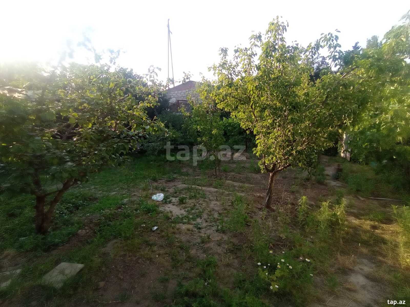 Həyət evi, Zabrat qəs. (4)