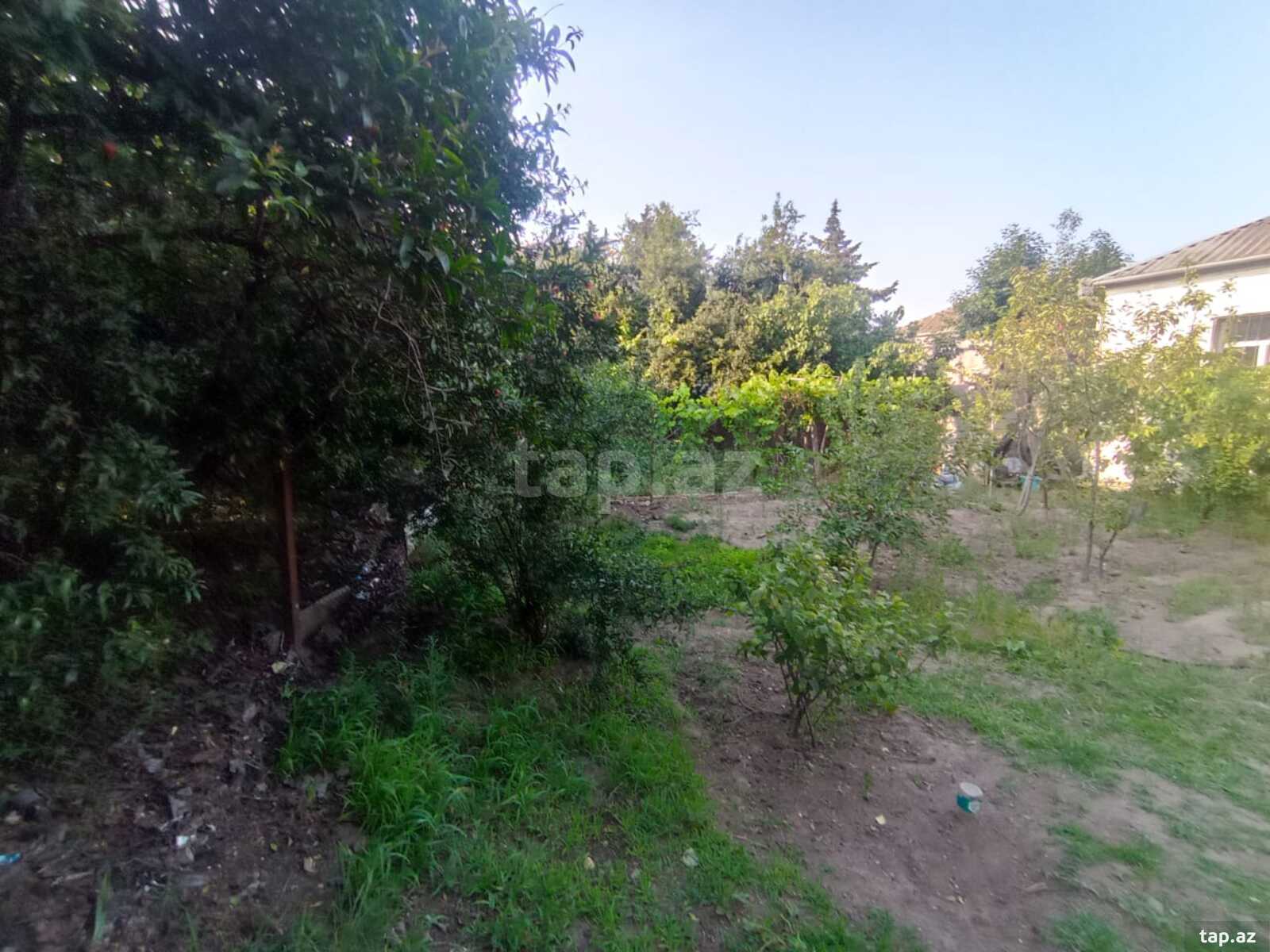 Həyət evi, Zabrat qəs. (5)