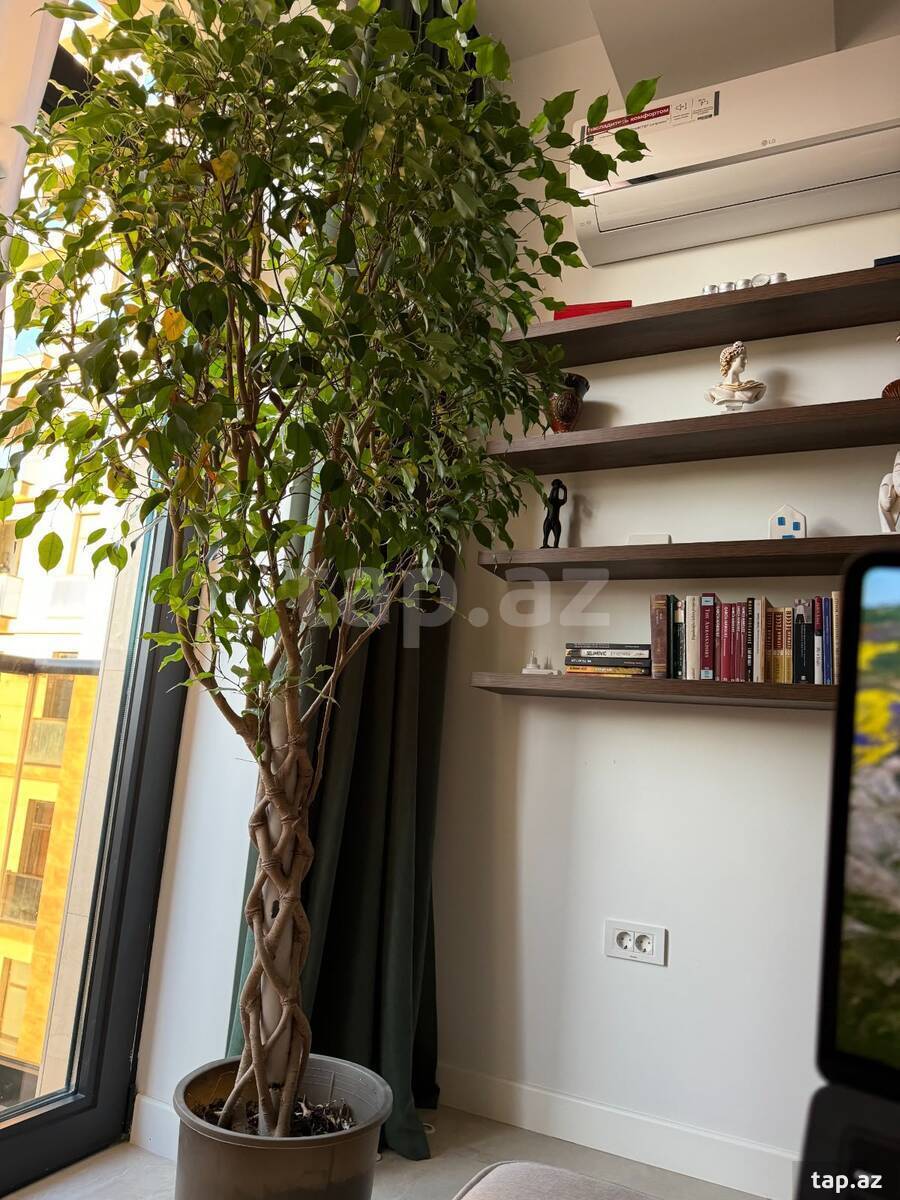 2-otaqlı yeni tikili kirayə verilir, 28 May m., 70 m² (11)