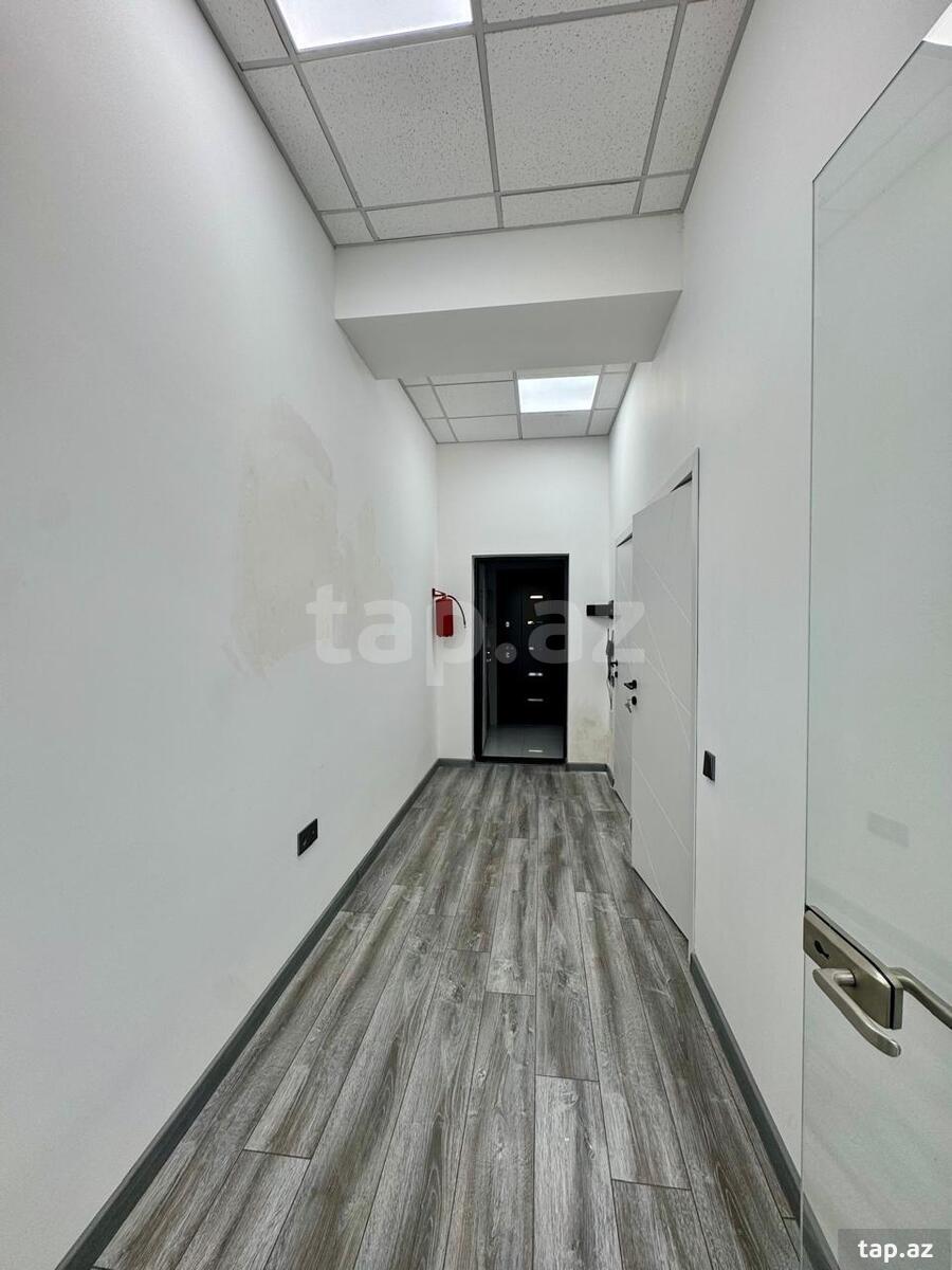 Ofis icarəyə verilir, Həsən Əliyev küç. (7)