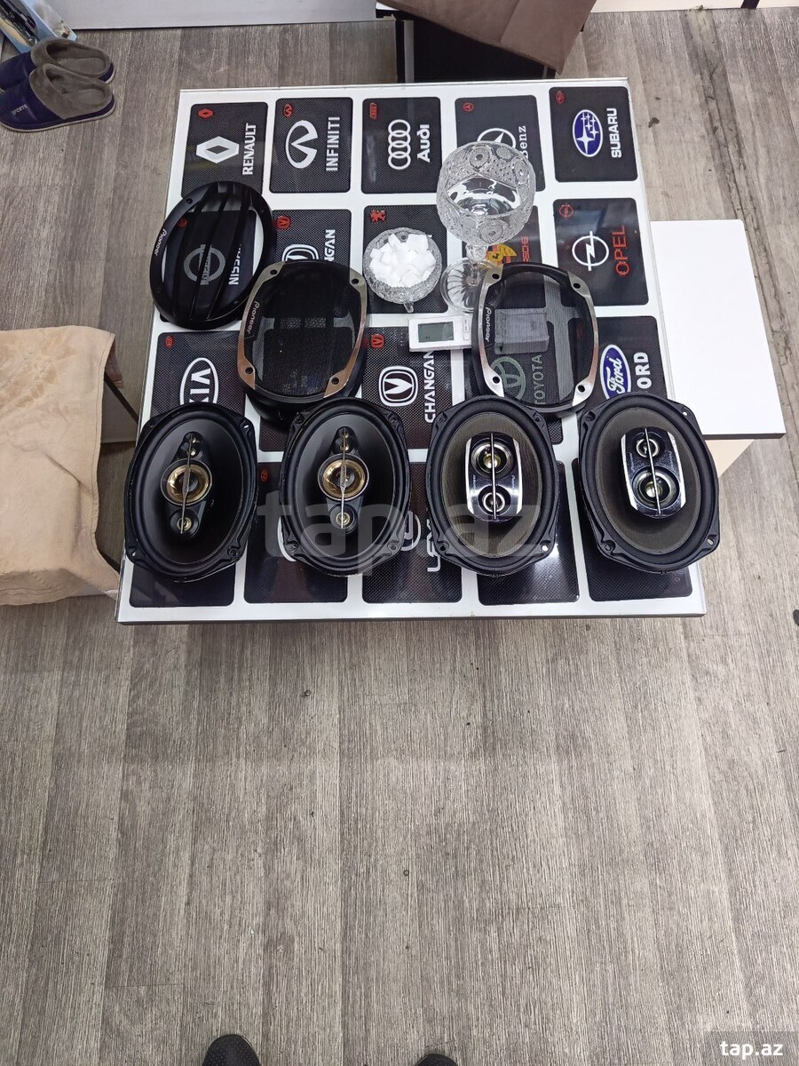 Pioneer dinamikləri (4)
