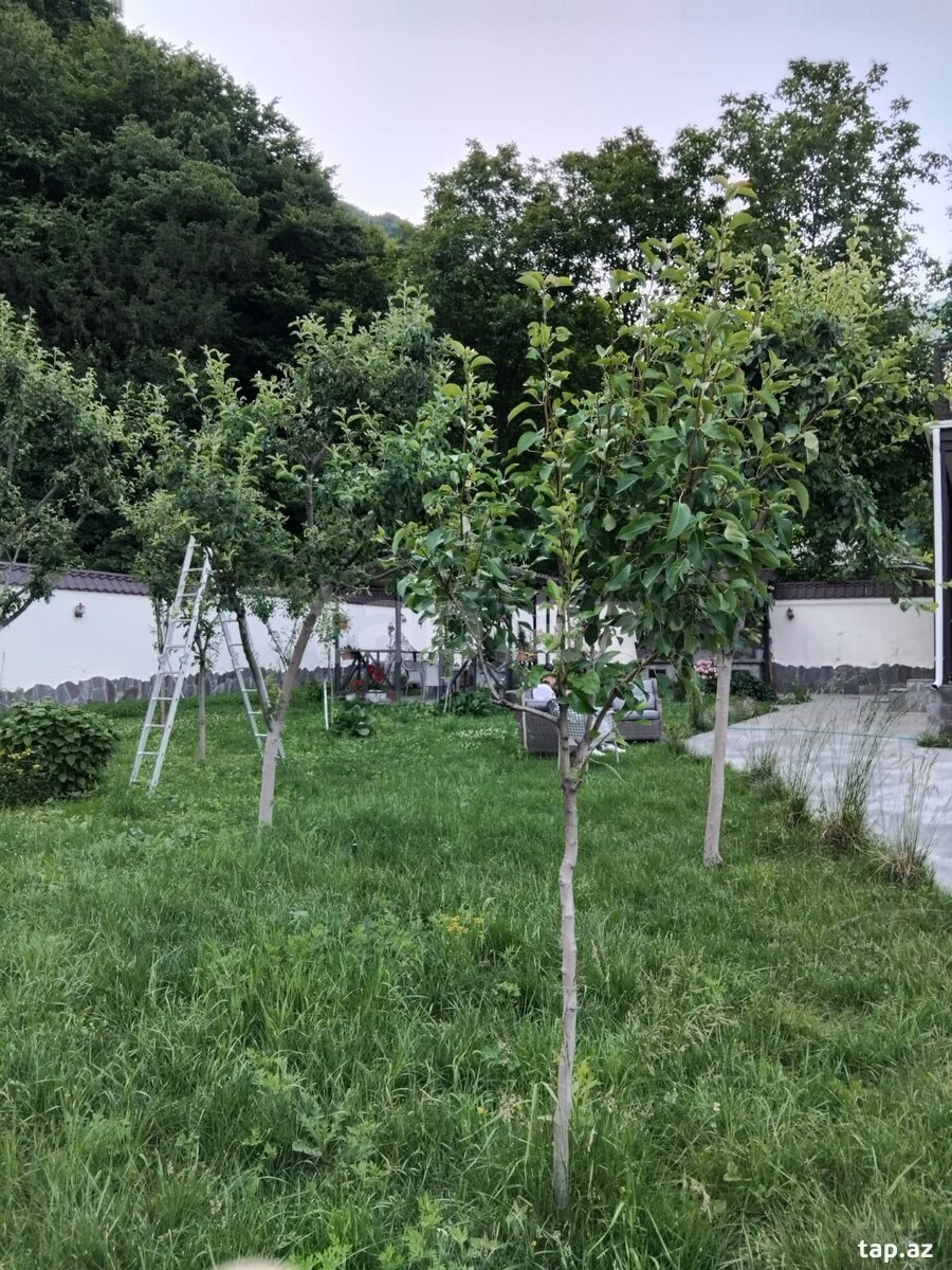 Villa kirayə verilir, Qax r. (14)
