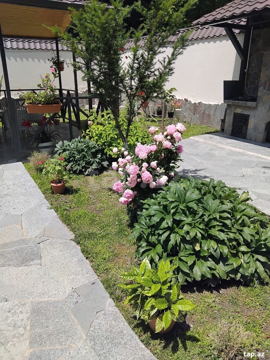 Villa kirayə verilir, Qax r. (15)
