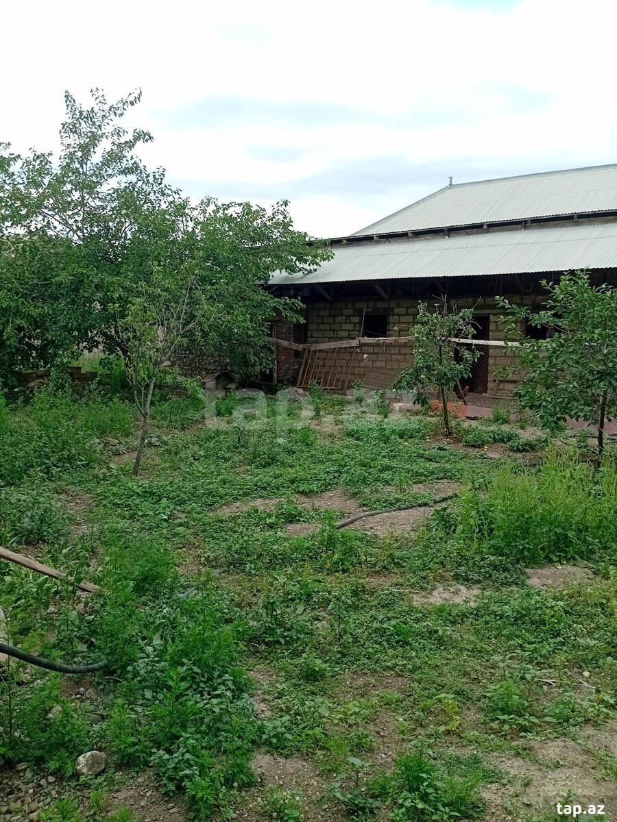 Həyət evi, Gəncə ş.