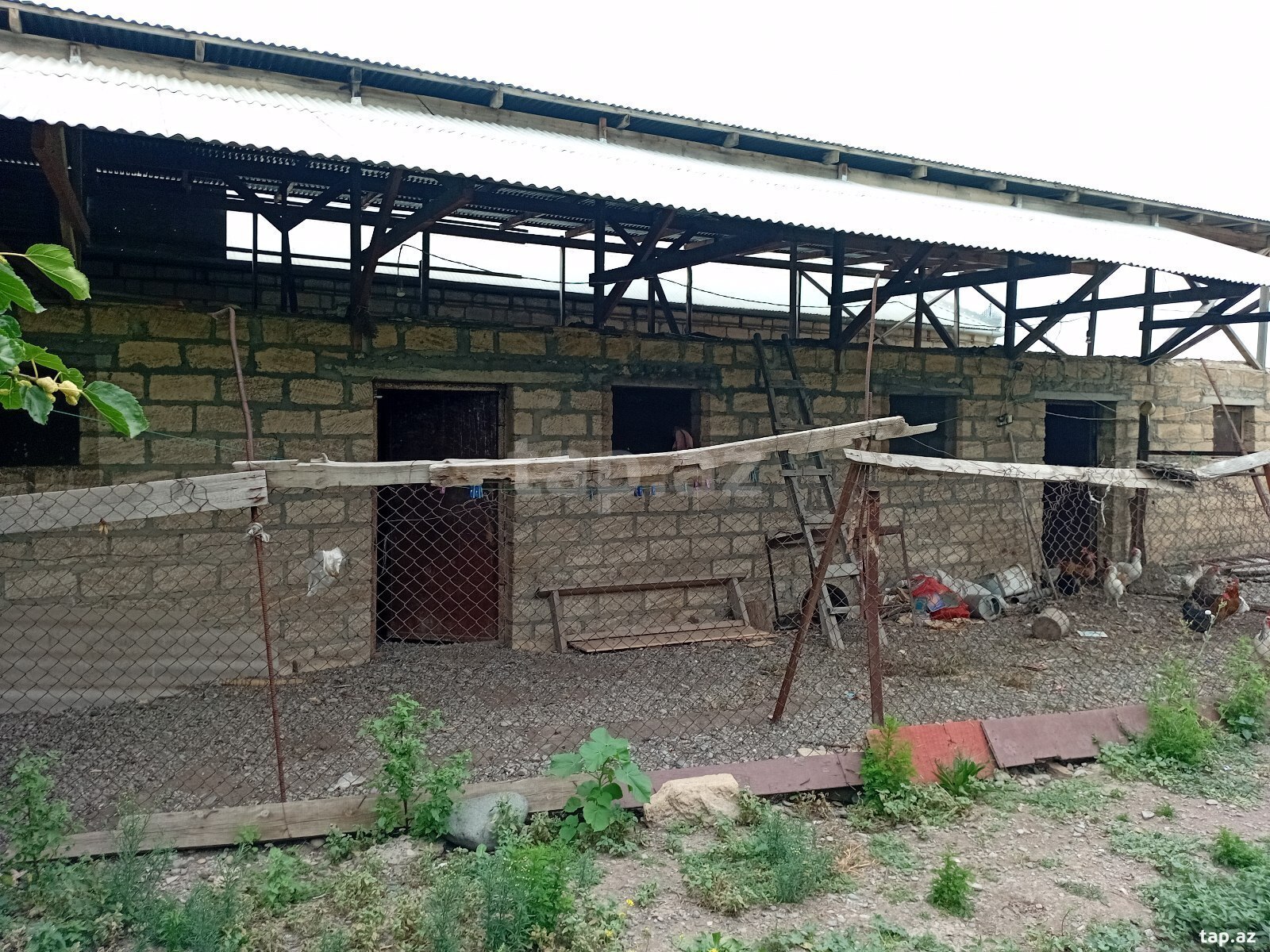 Həyət evi, Gəncə ş.