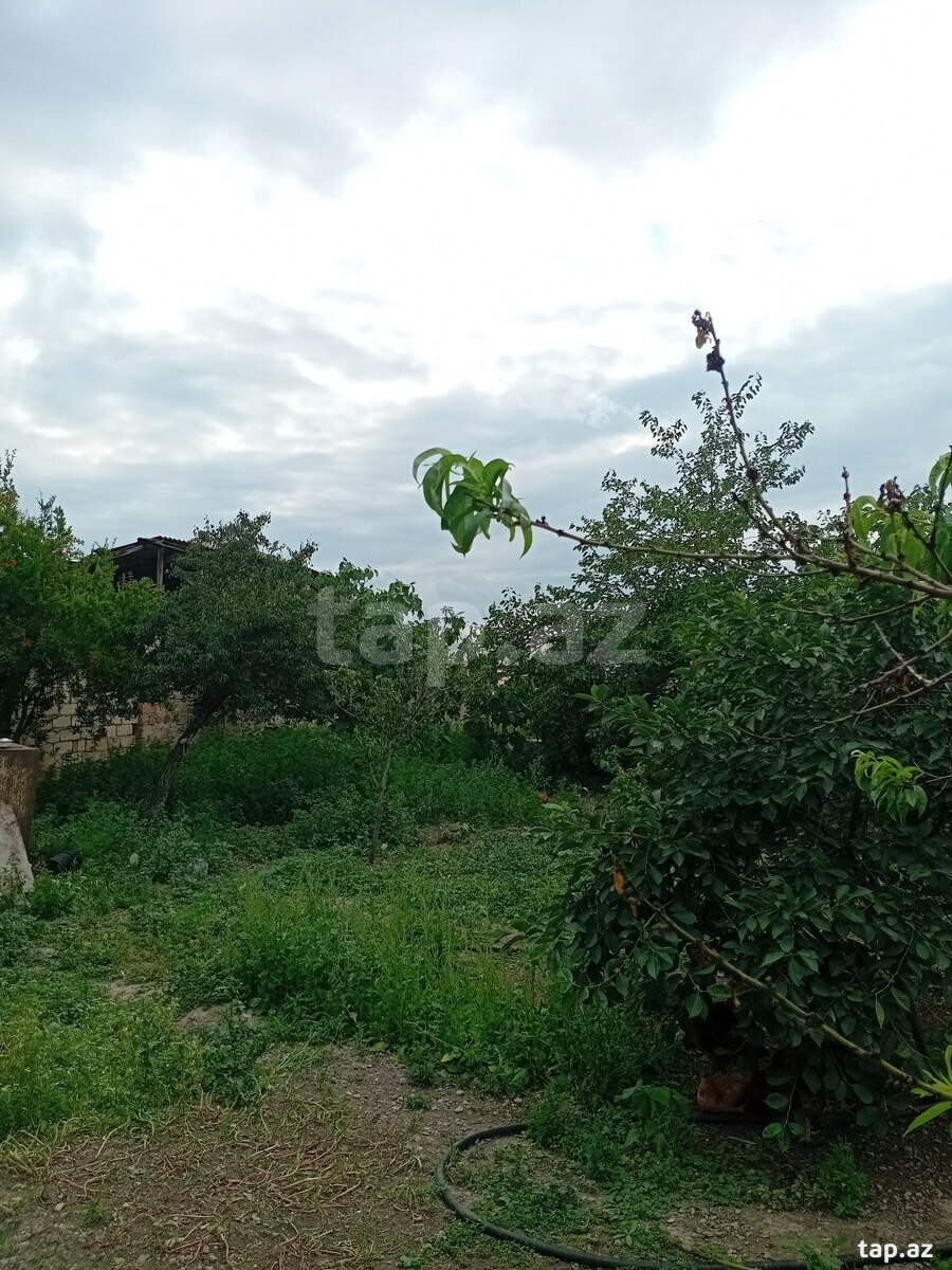Həyət evi, Gəncə ş.