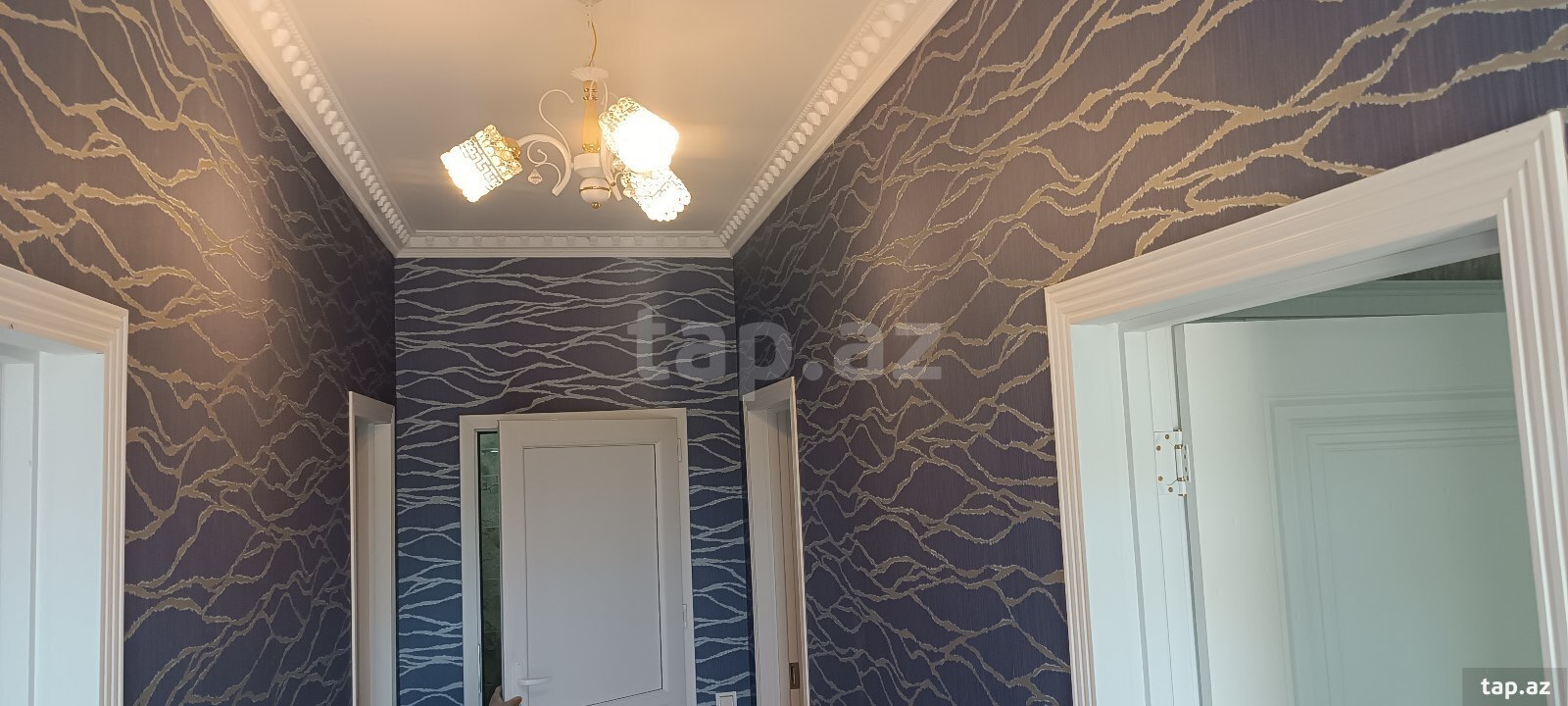 Bağ evi kirayə verilir, İsmayıllı r. (31)