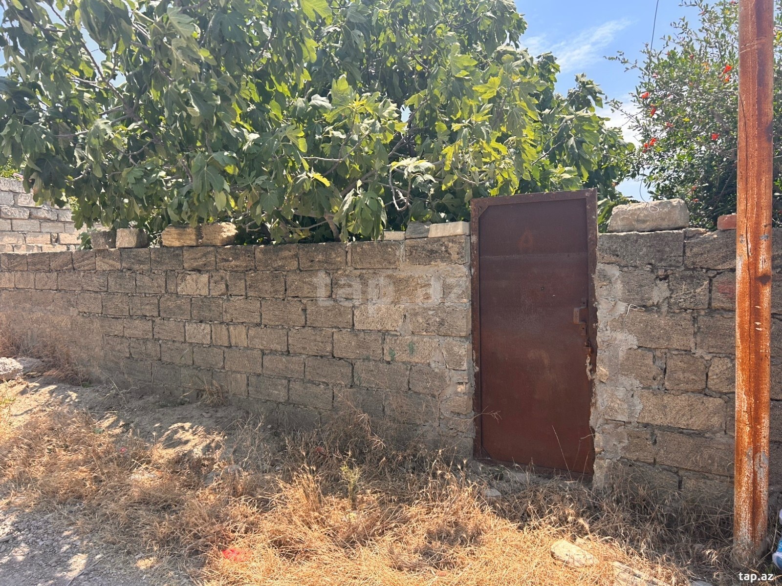 3 sot torpaq sahəsi, Mehdiabad