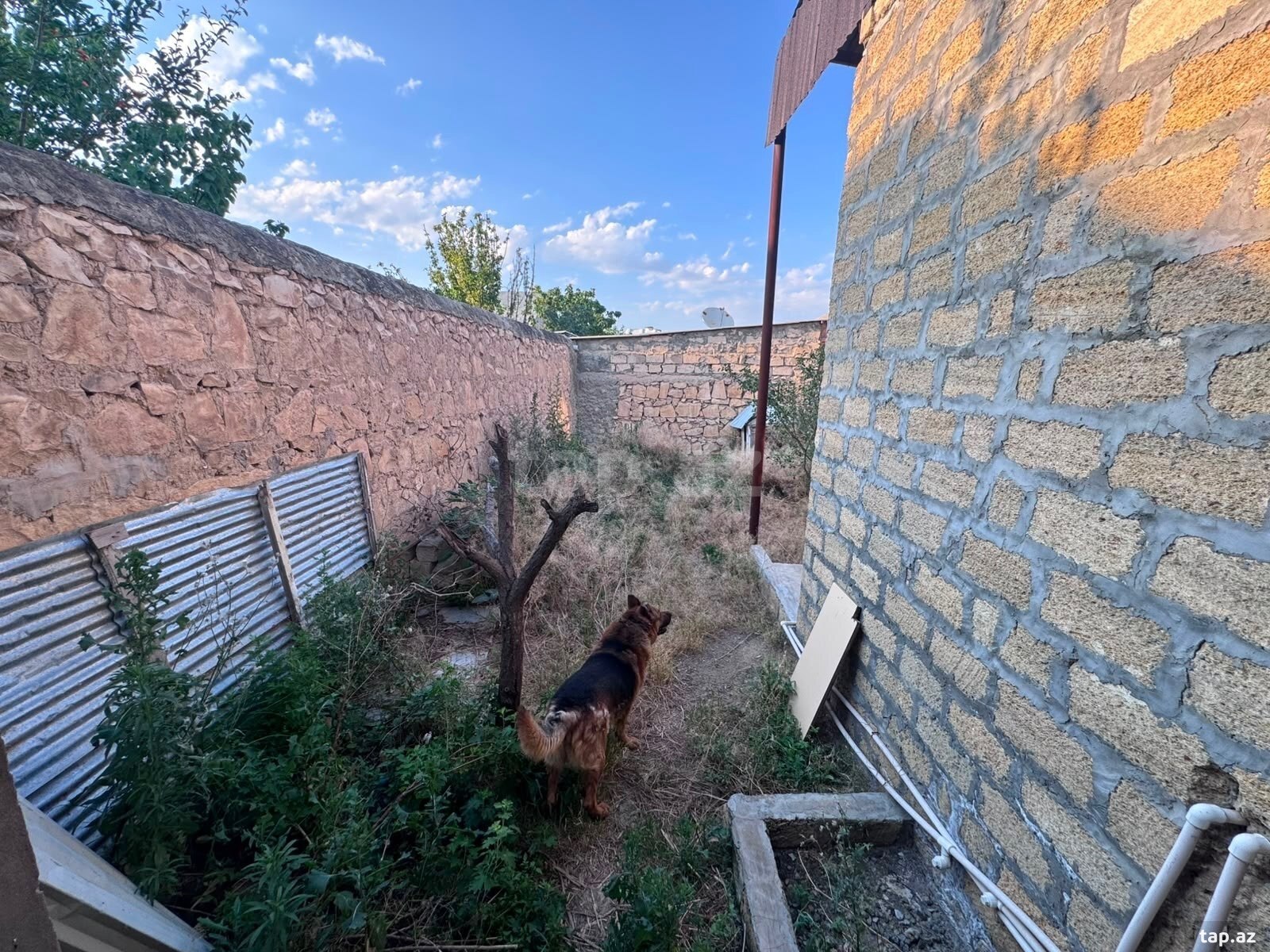 Həyət evi, Gəncə ş. (8)