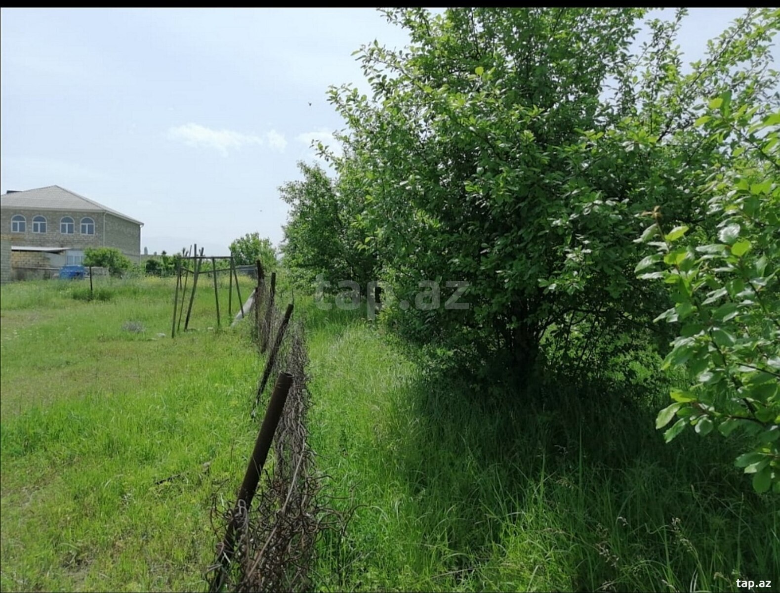 10 sot torpaq sahəsi, Quba r. (5)
