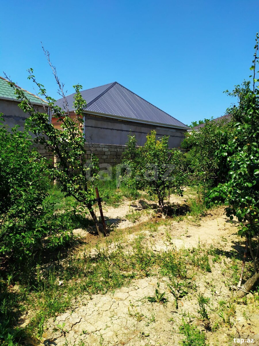 Bağ evi, Savalan qəs. (10)