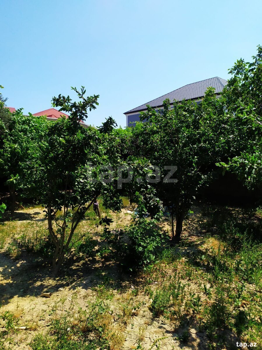 Bağ evi, Savalan qəs. (13)