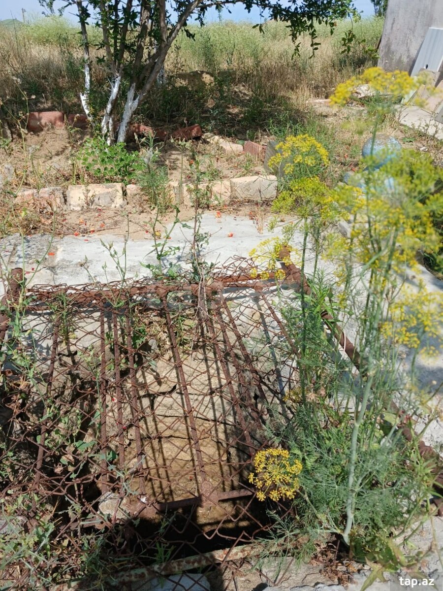 Bağ evi, Nardaran qəs. (10)