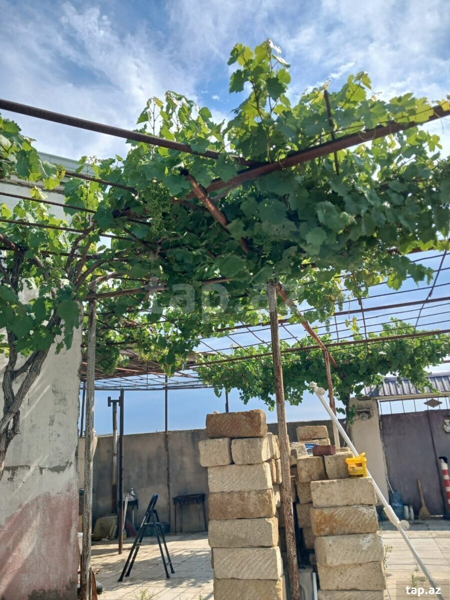 Bağ evi, Nardaran qəs. (14)