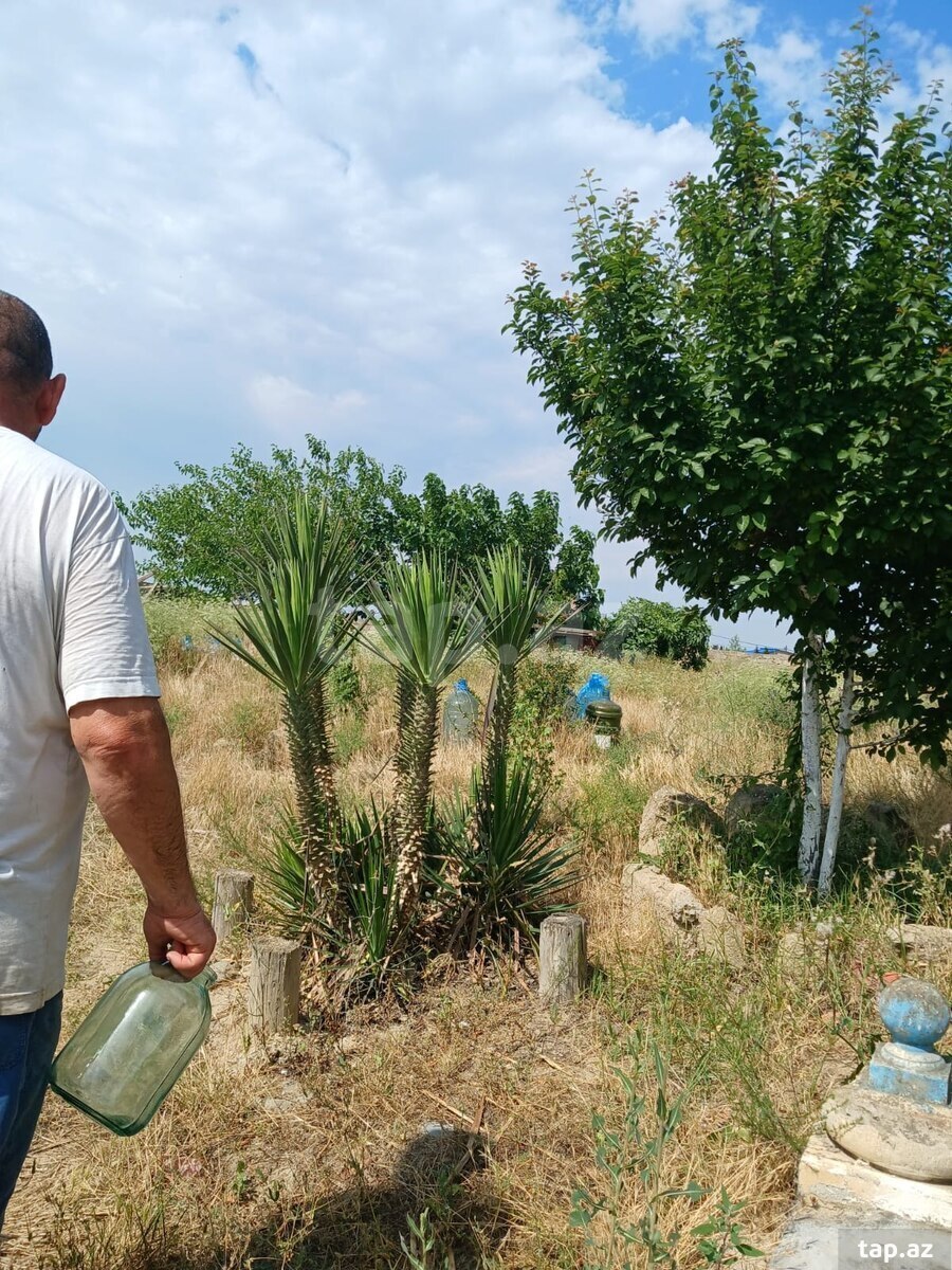 Bağ evi, Nardaran qəs. (12)