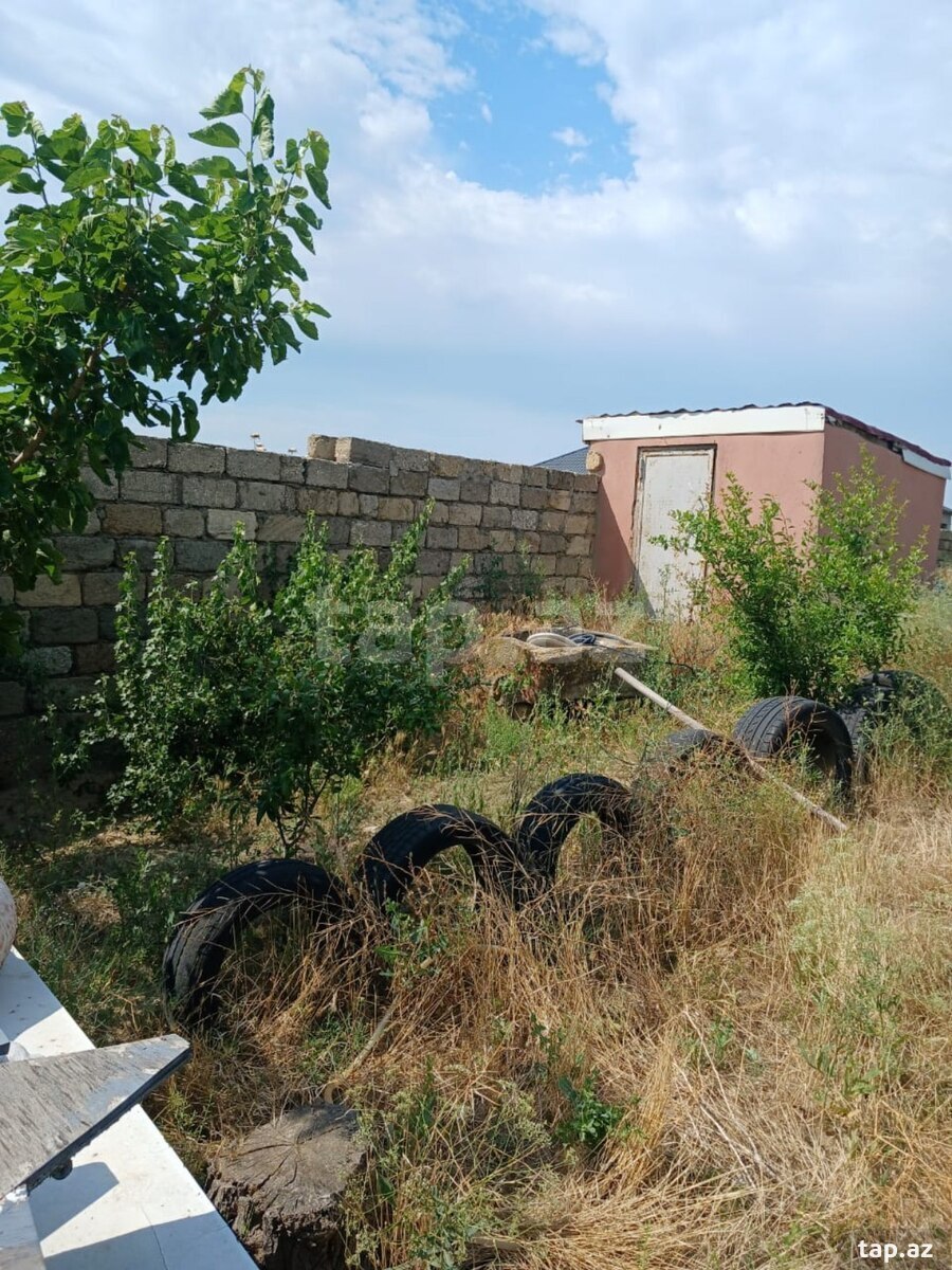 Bağ evi, Nardaran qəs. (17)