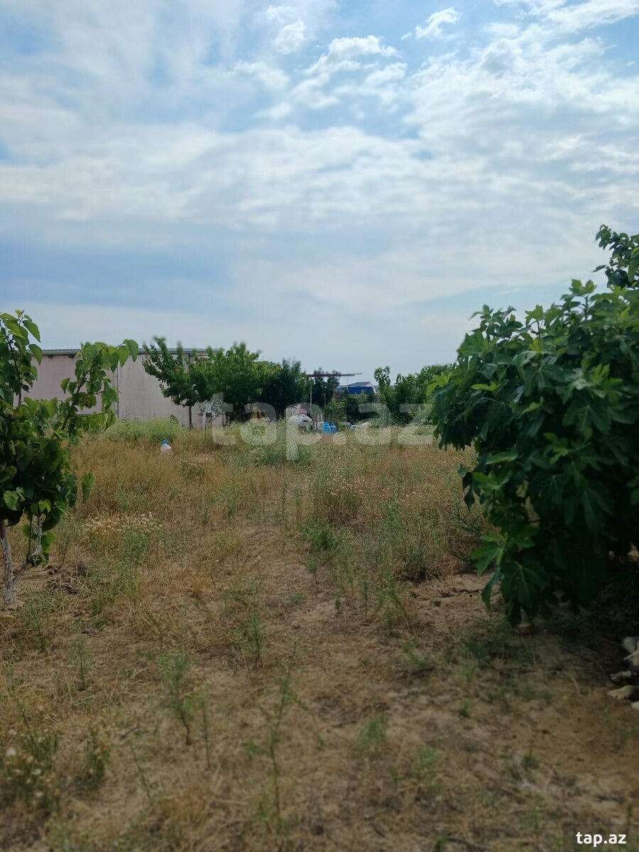 Bağ evi, Nardaran qəs. (21)
