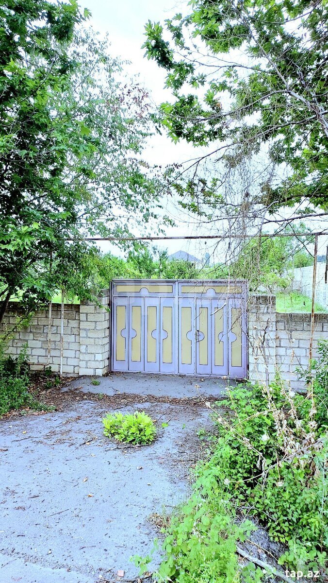 19 sot torpaq sahəsi, Göyçay r. (2)