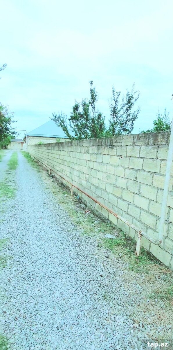 19 sot torpaq sahəsi, Göyçay r. (11)